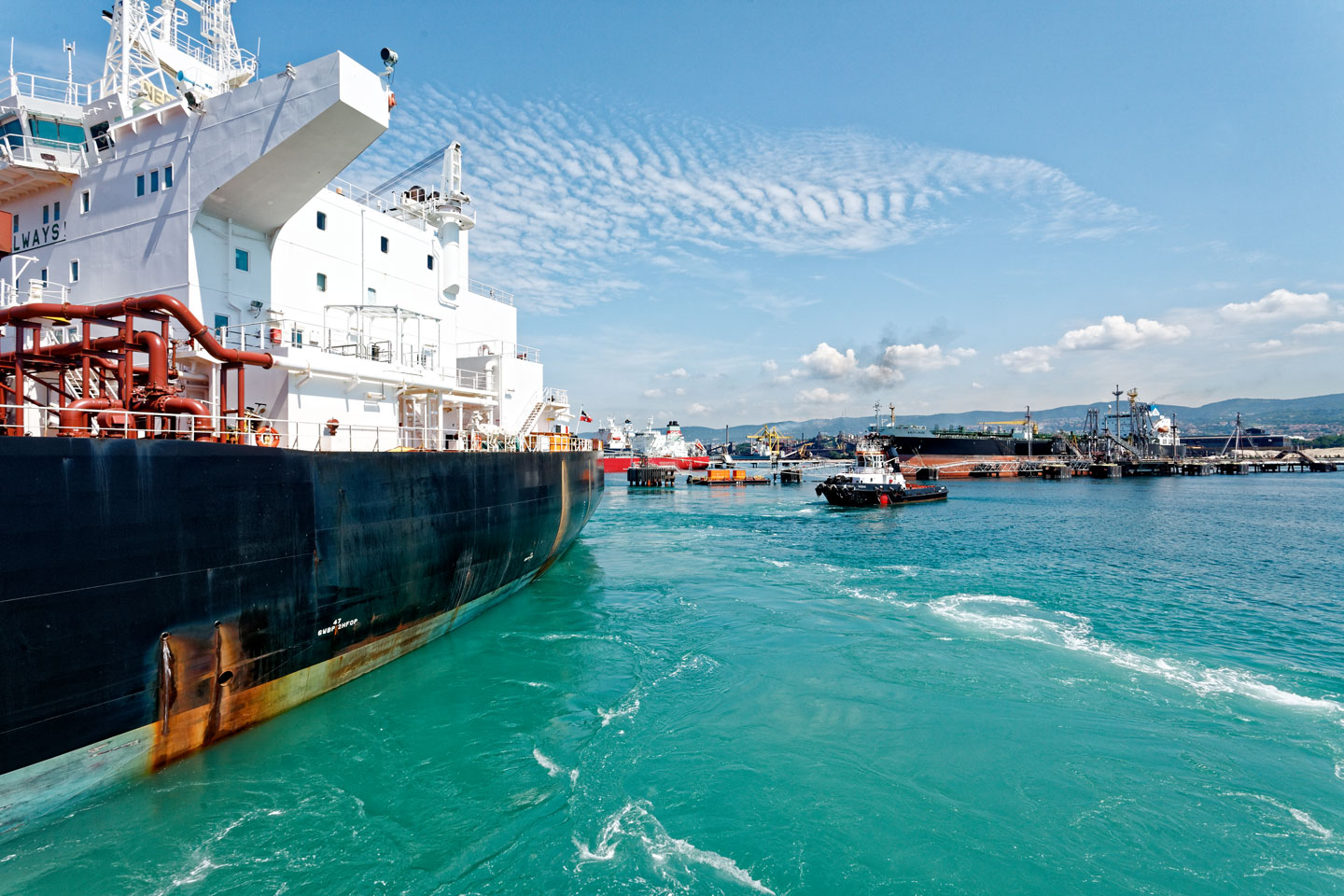 Trieste Gulf Trailer Trailer