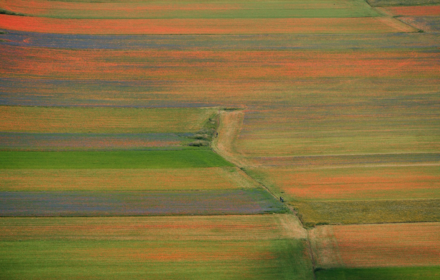Castelluccio Di Norcia 11