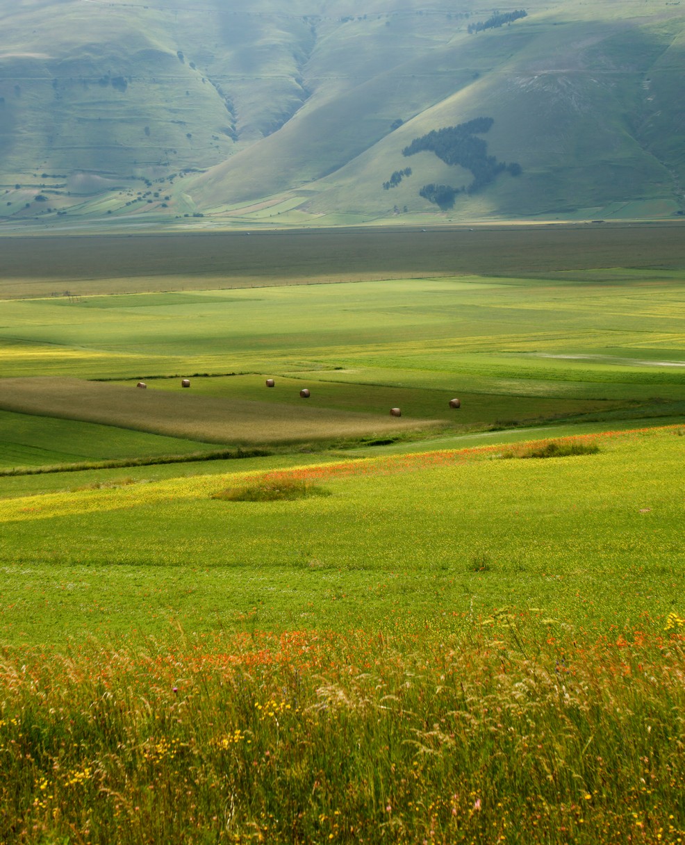 Castelluccio Di Norcia 13