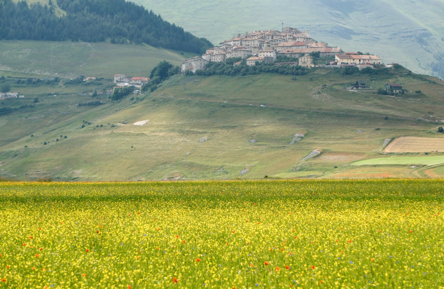 Castelluccio Di Norcia 15
