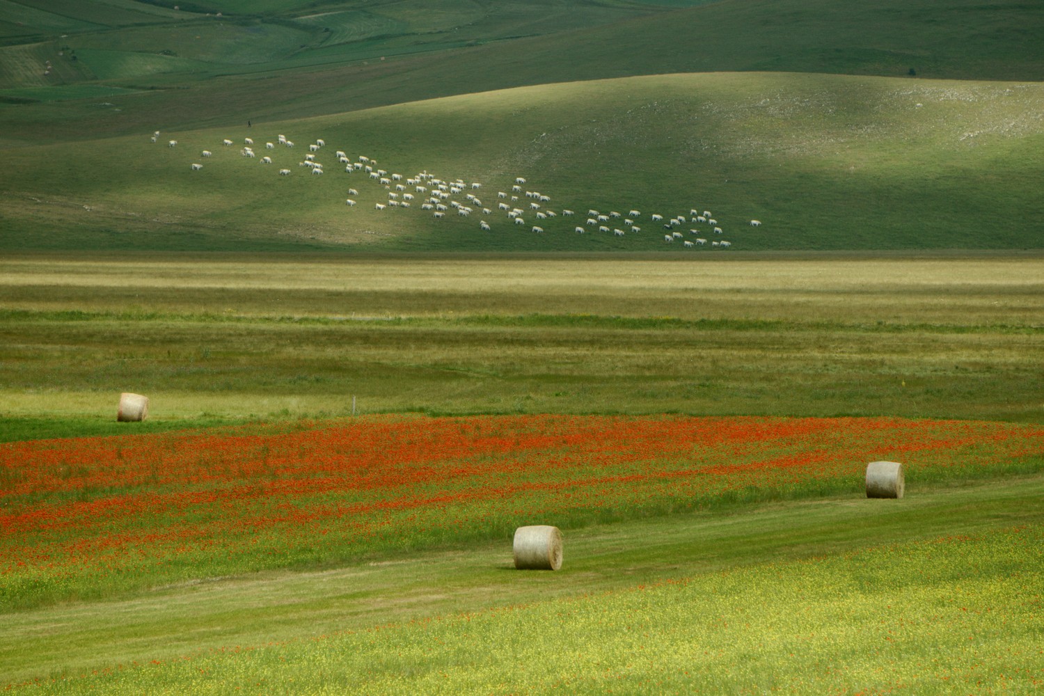 Castelluccio Di Norcia 16