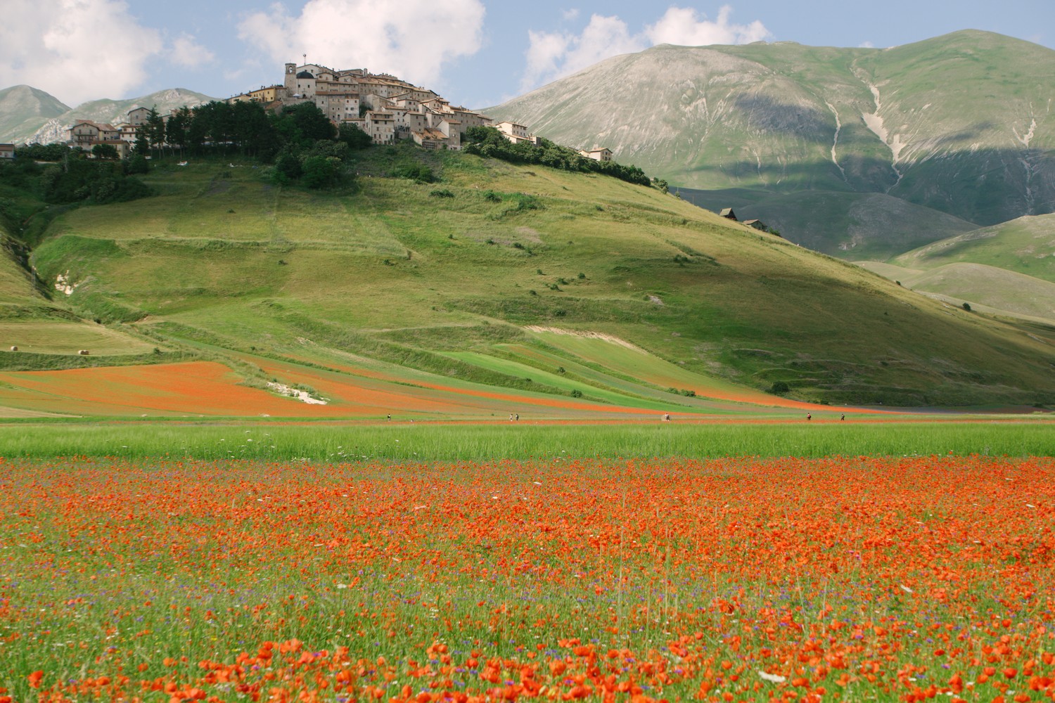 Castelluccio Di Norcia 19