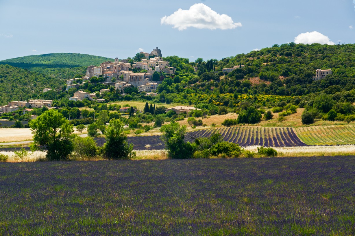 Simiane La Rotonde 01