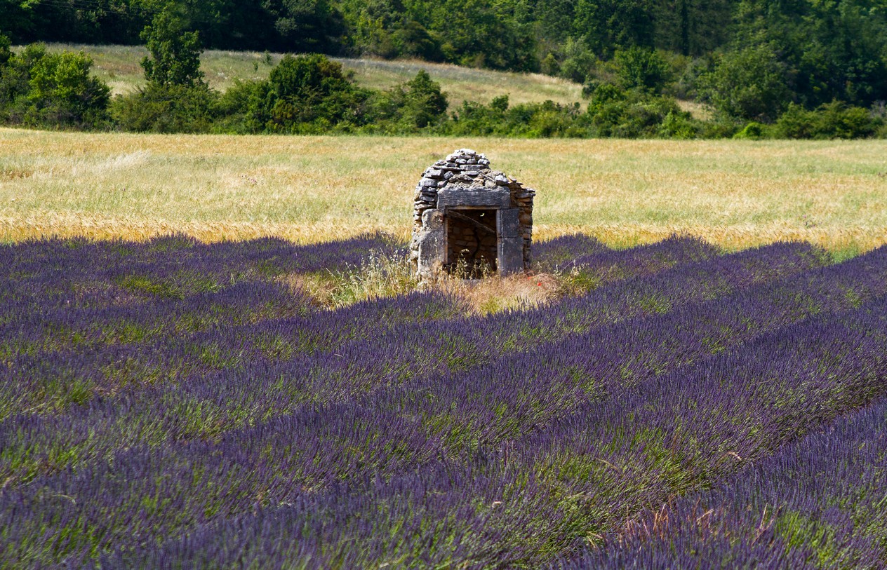 Simiane La Rotonde 02