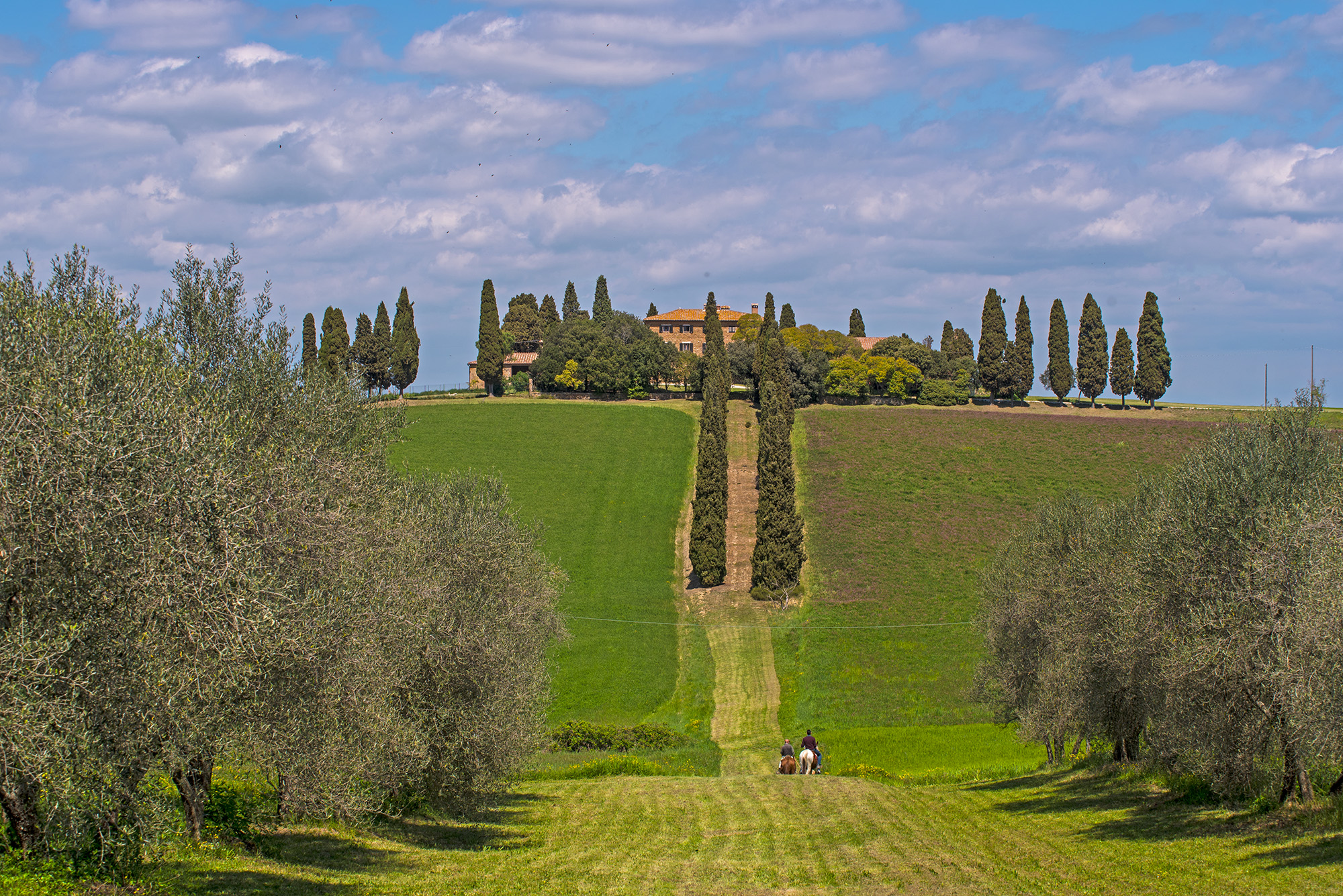 Val d'Orcia