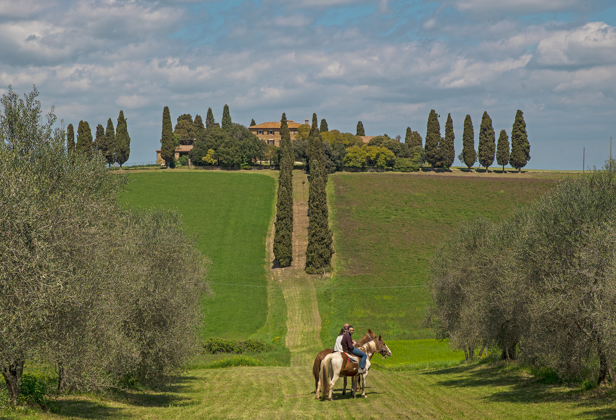 Val d'Orcia