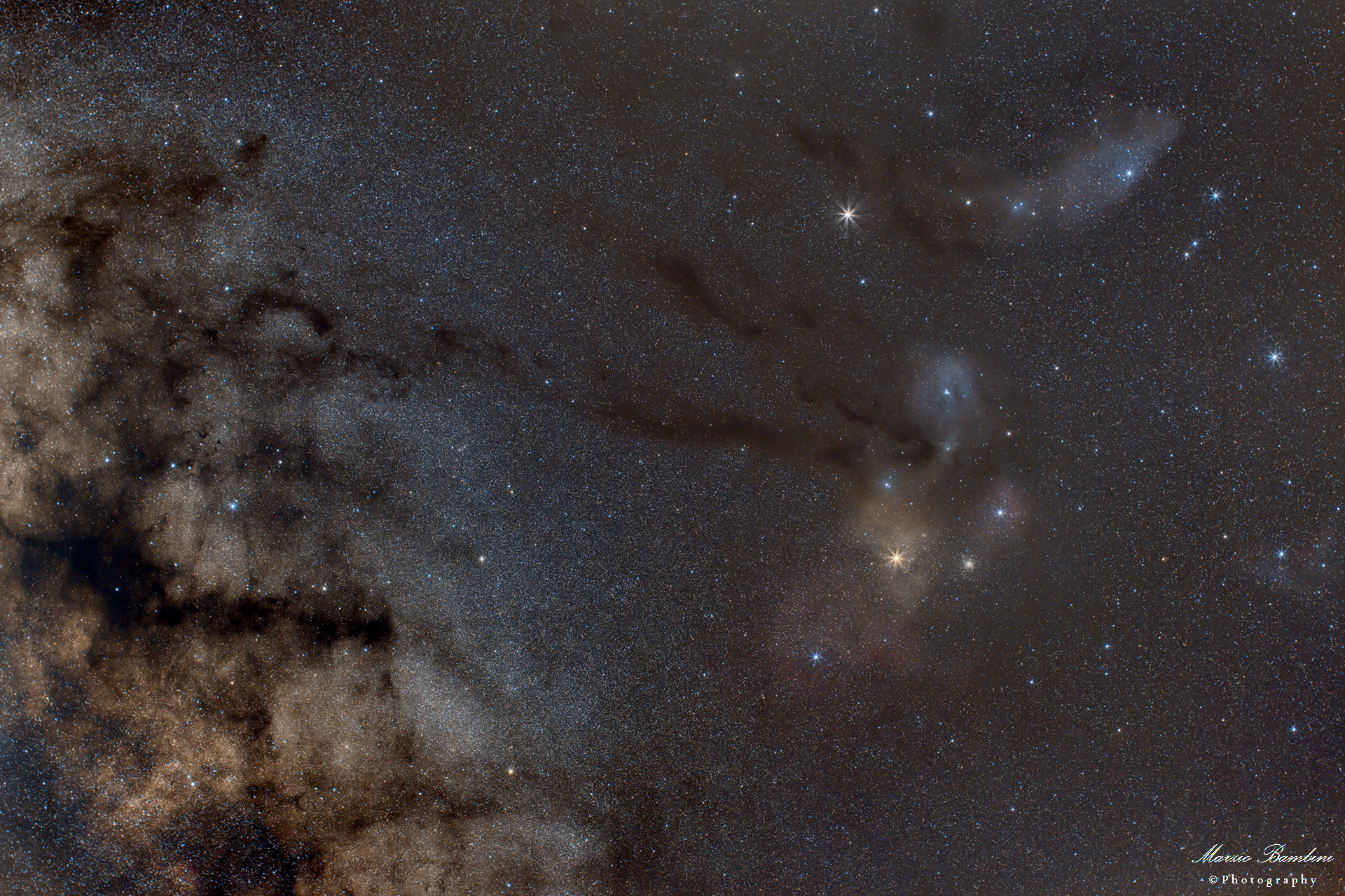 Very Wide Field Antares and Rho Ophiuchi