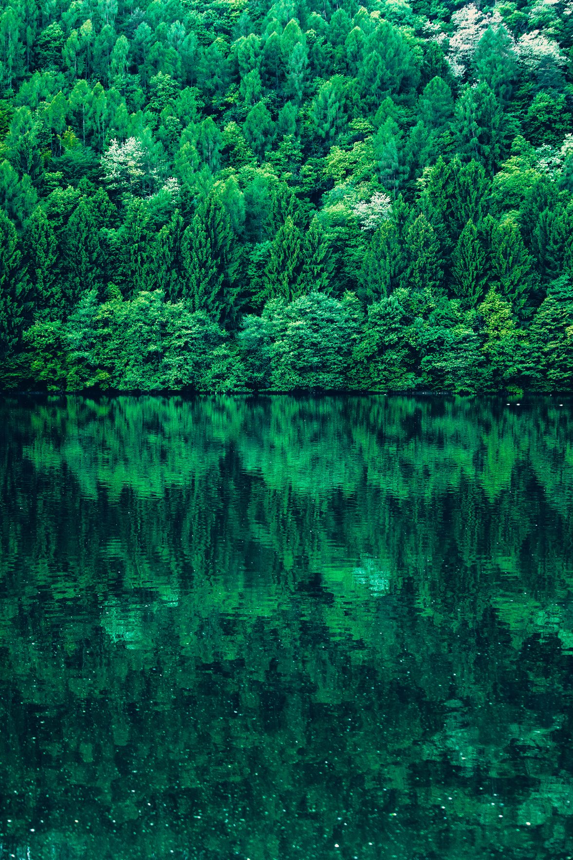 Lago di Levico - Trentino