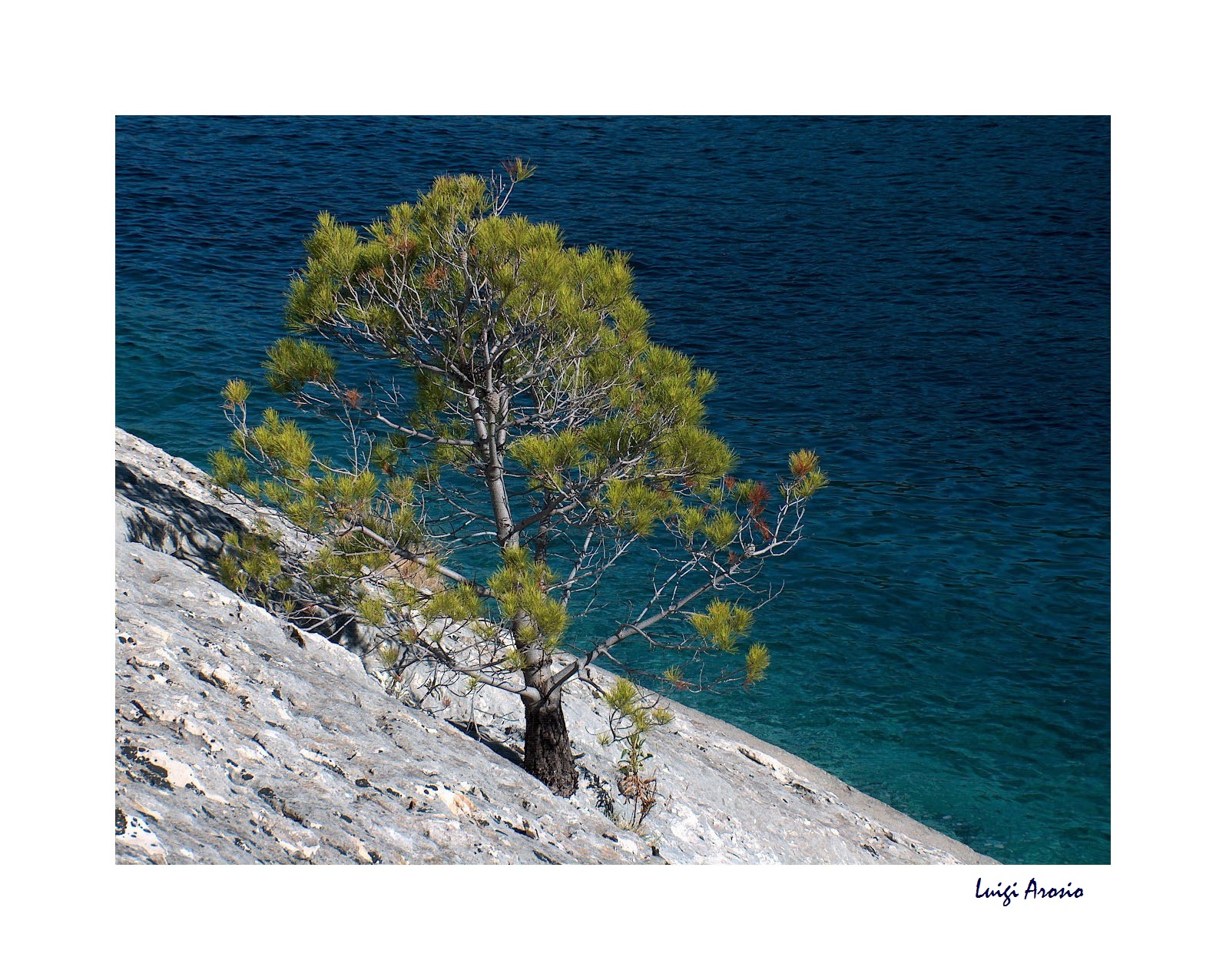 The strength of life