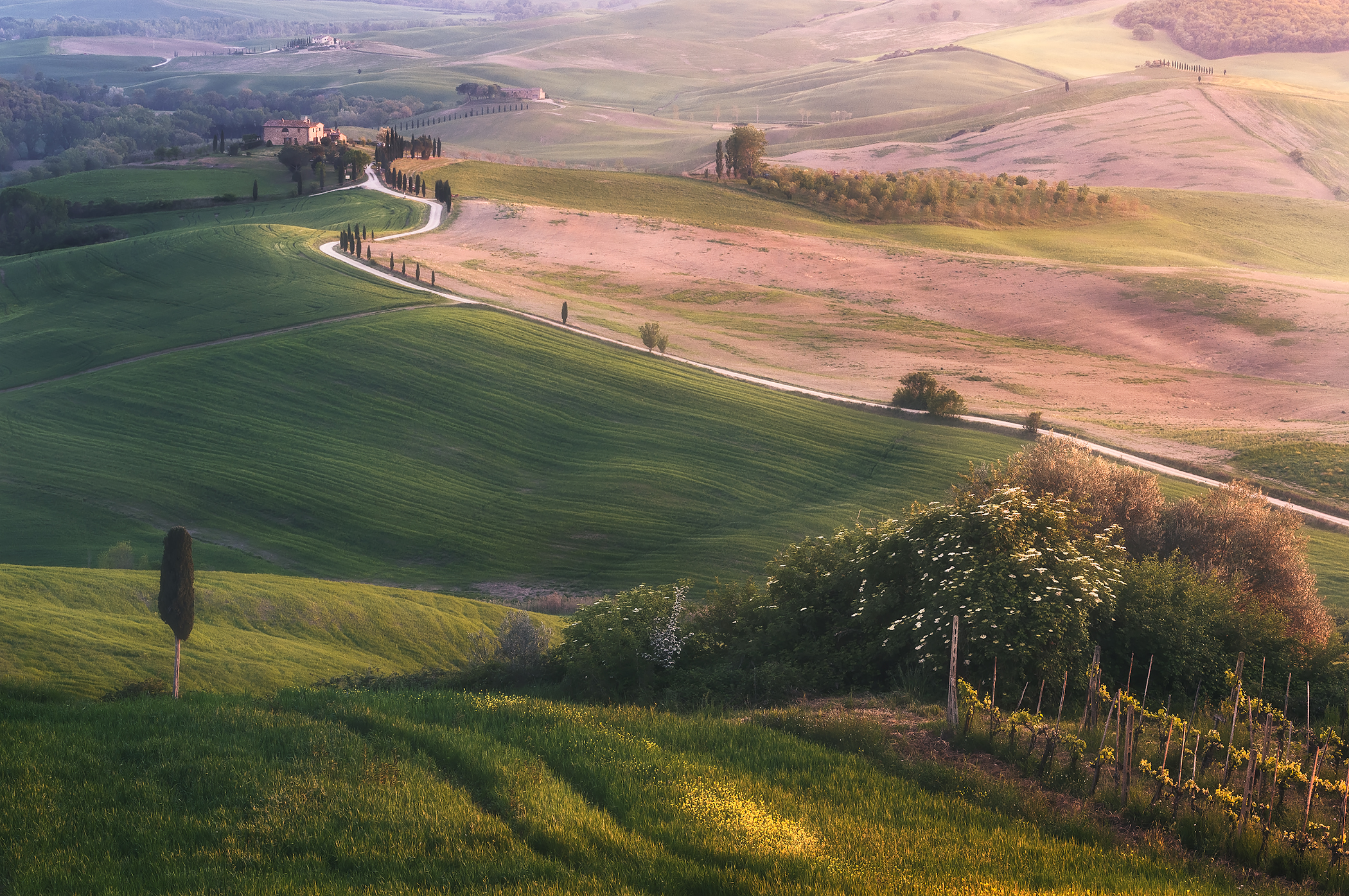 Terrapille al tramonto