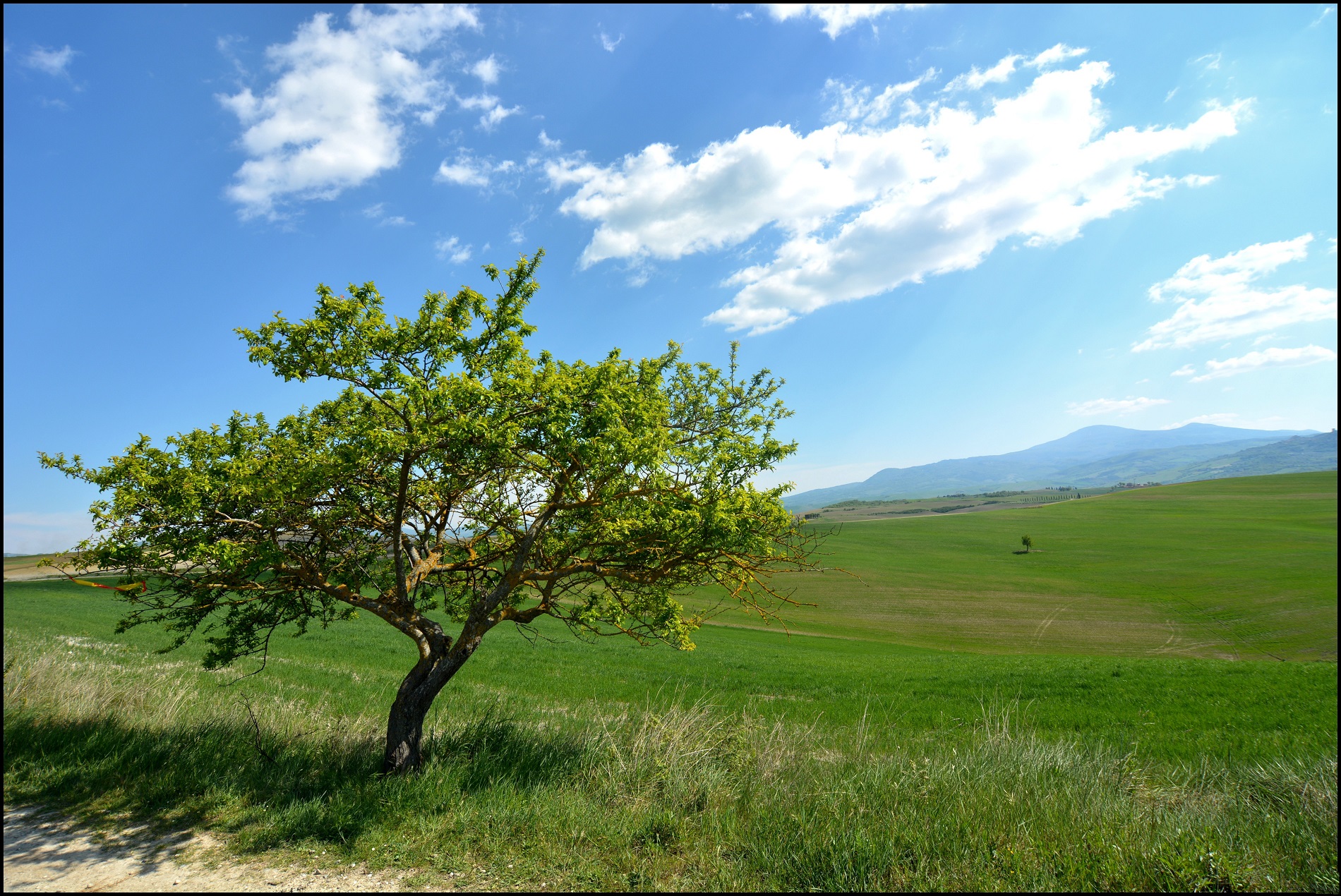 Solitario in Val d'Orciaa