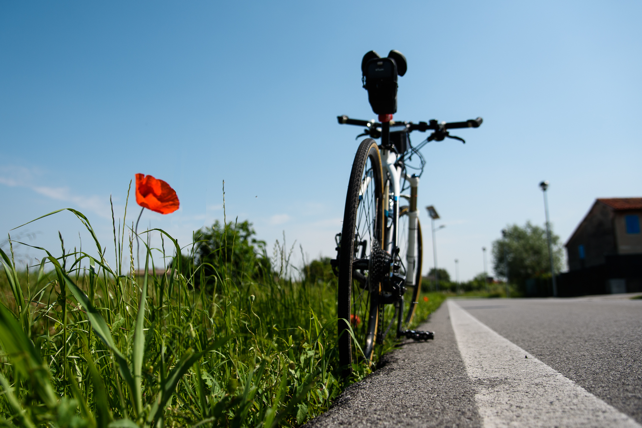 Portami via con te...