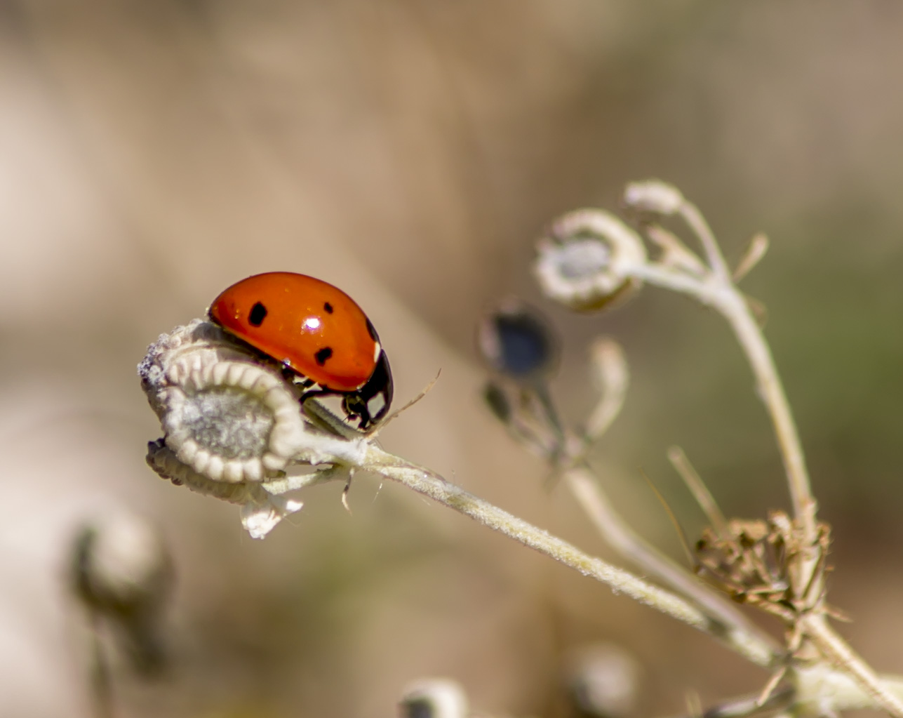 I'm not moving from here ... part two