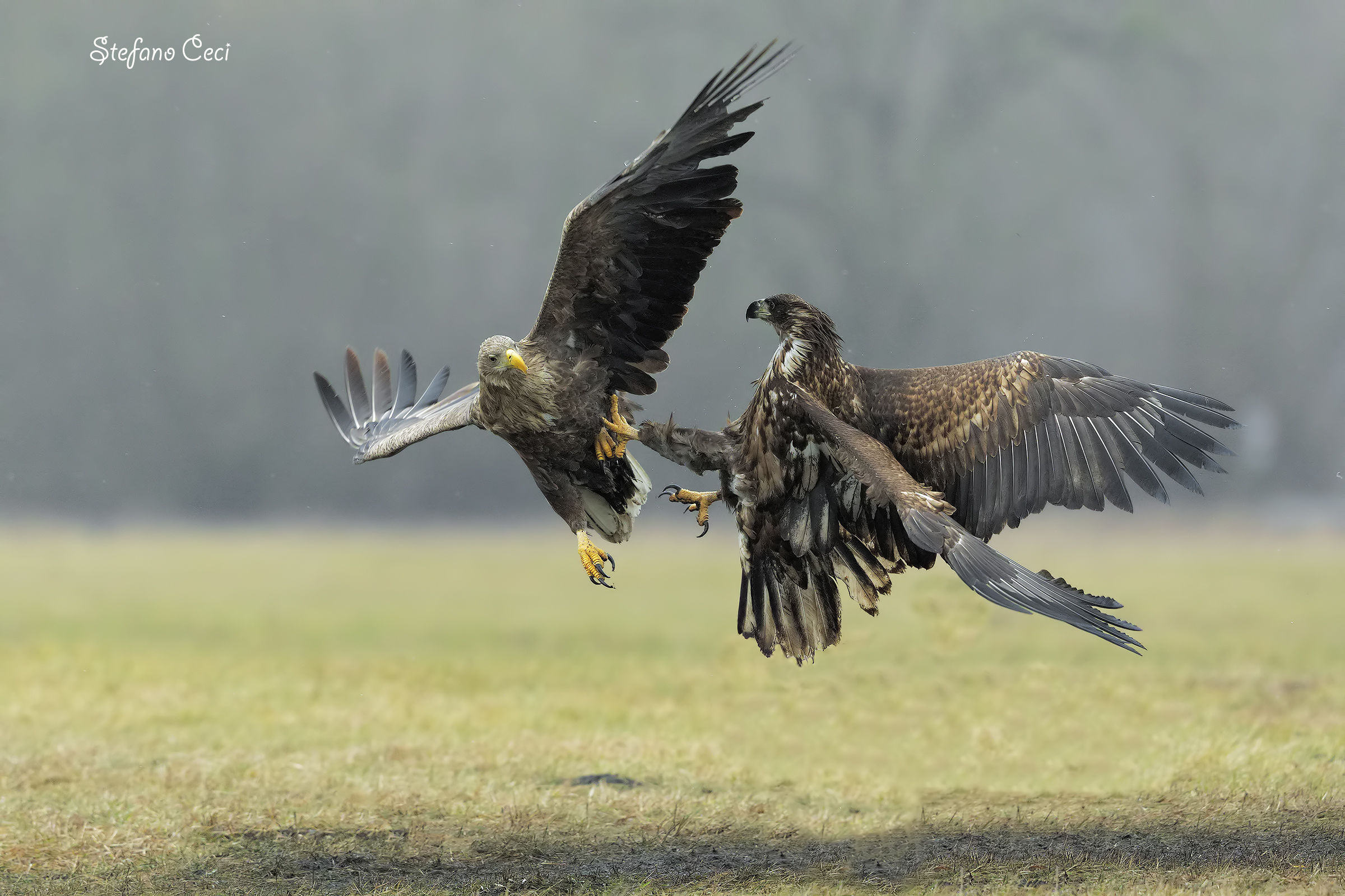 Fatti più in là...ma senza per favore