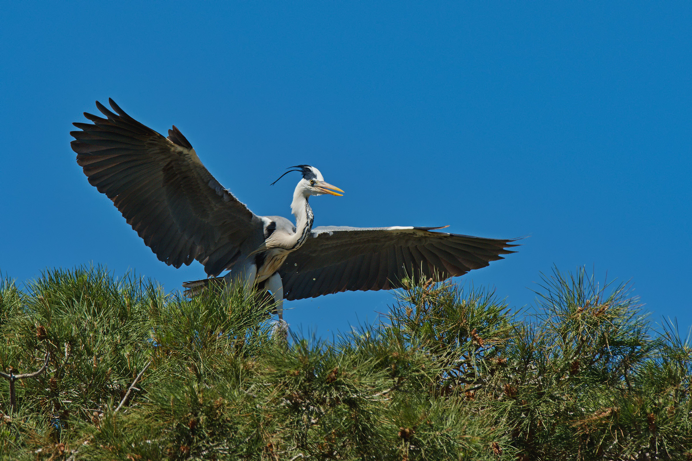 Arrived, but the water ....