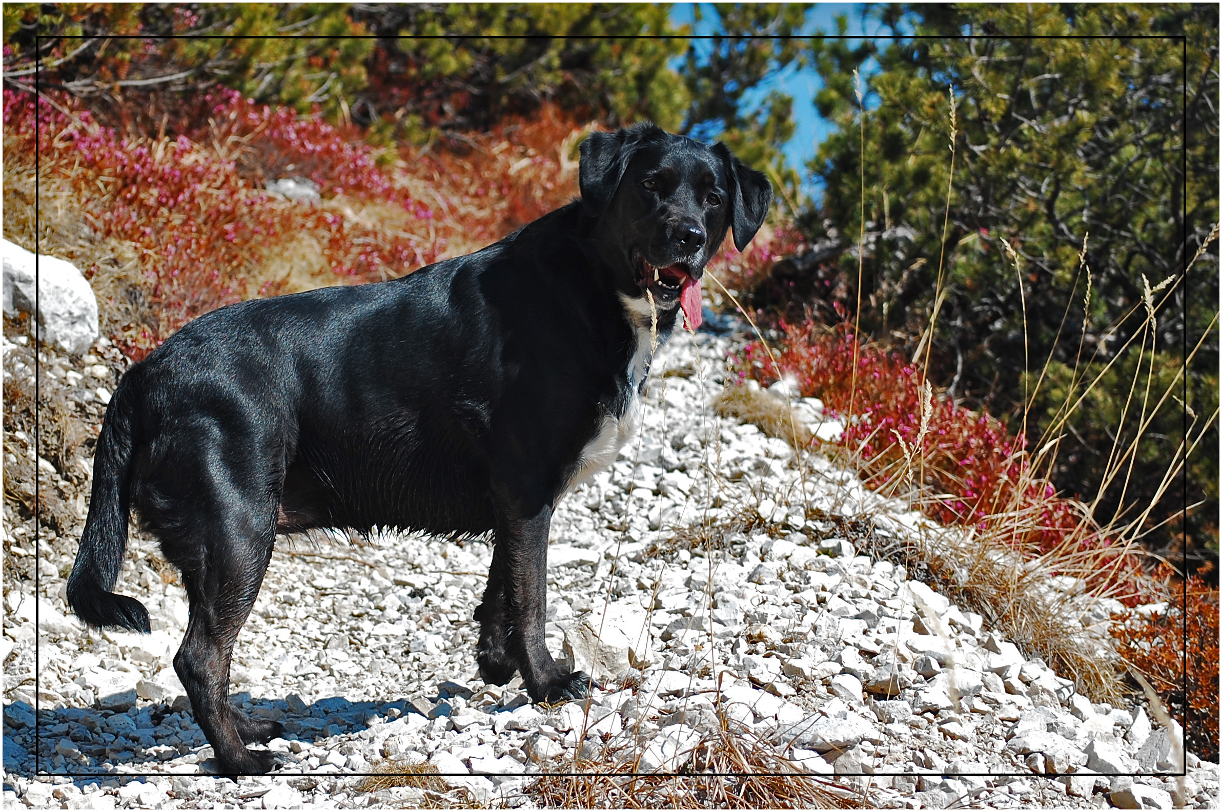 Beginning to be scanca ...