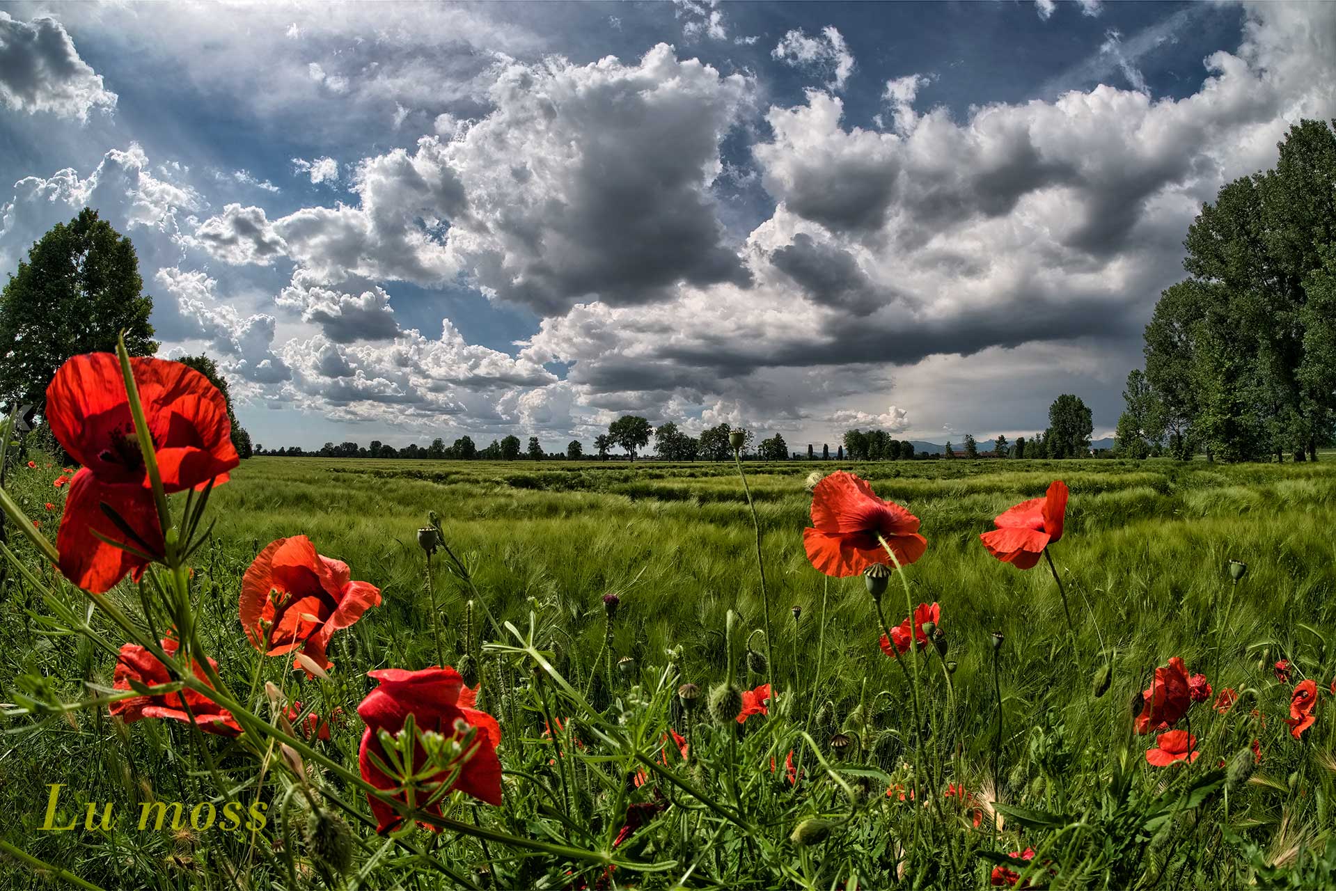 Waiting for the thunderstorm.