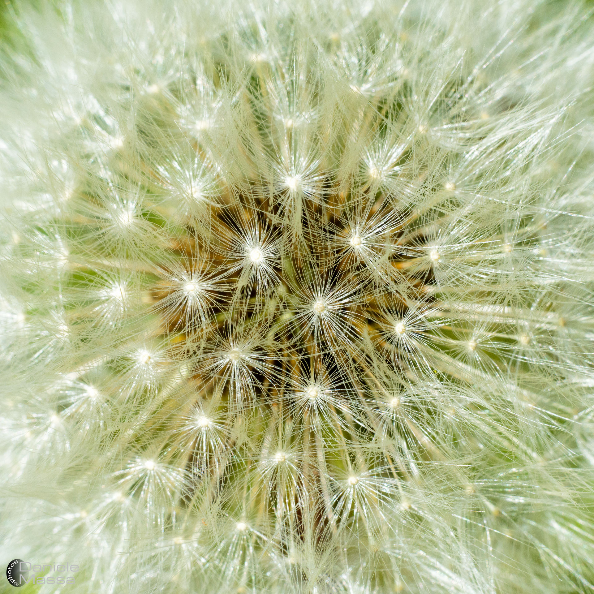 prima di prendere il volo