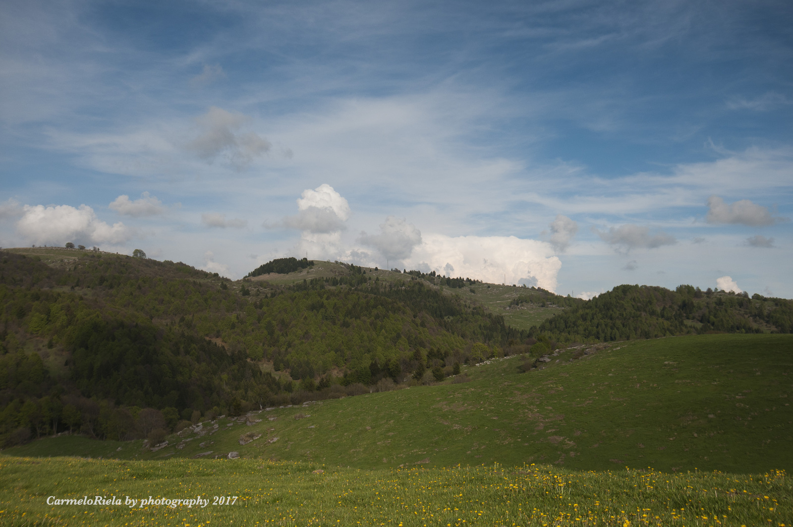 Il barboncino e la bambina.