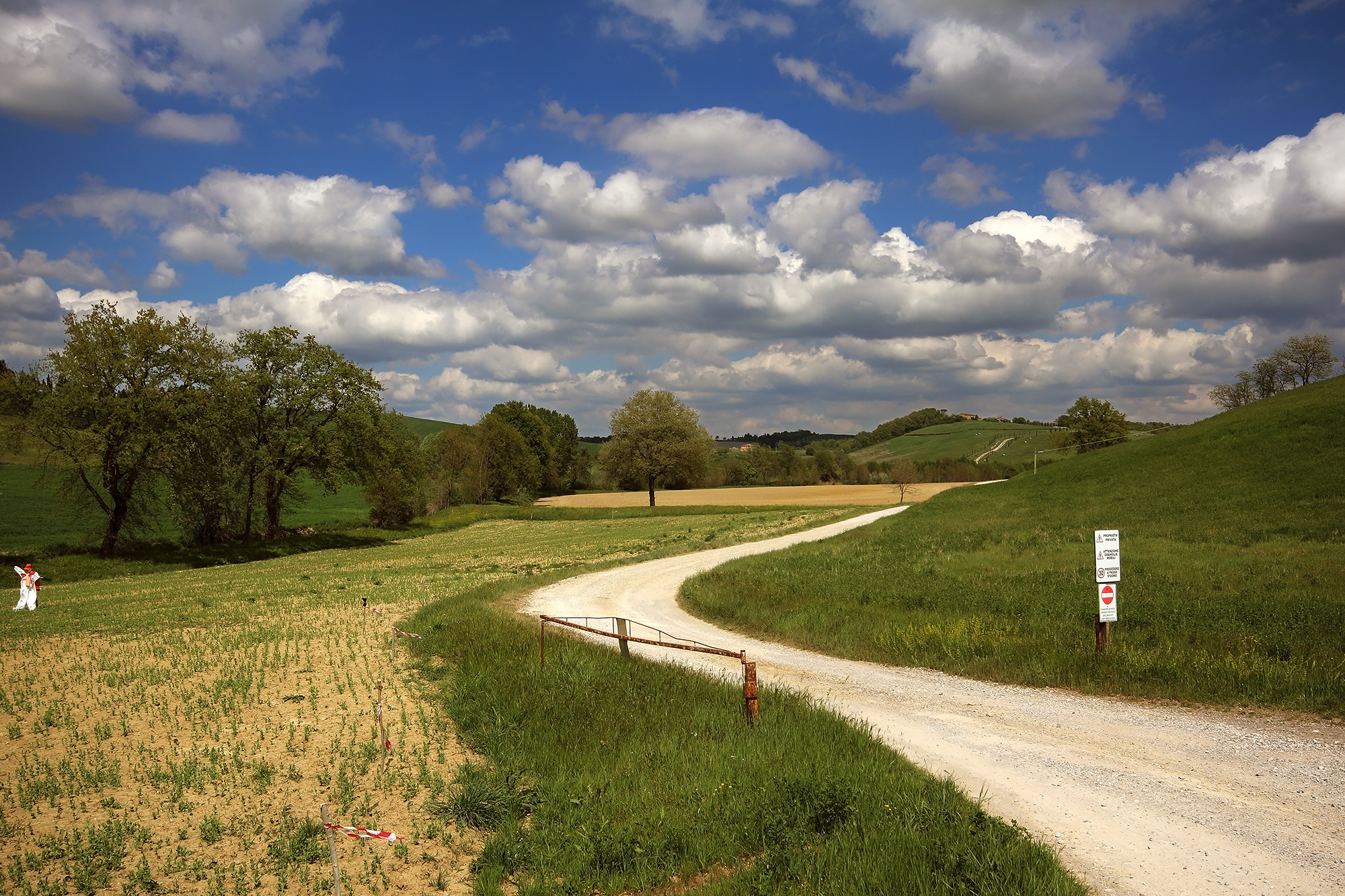La da qualche parte nella campagna senese...