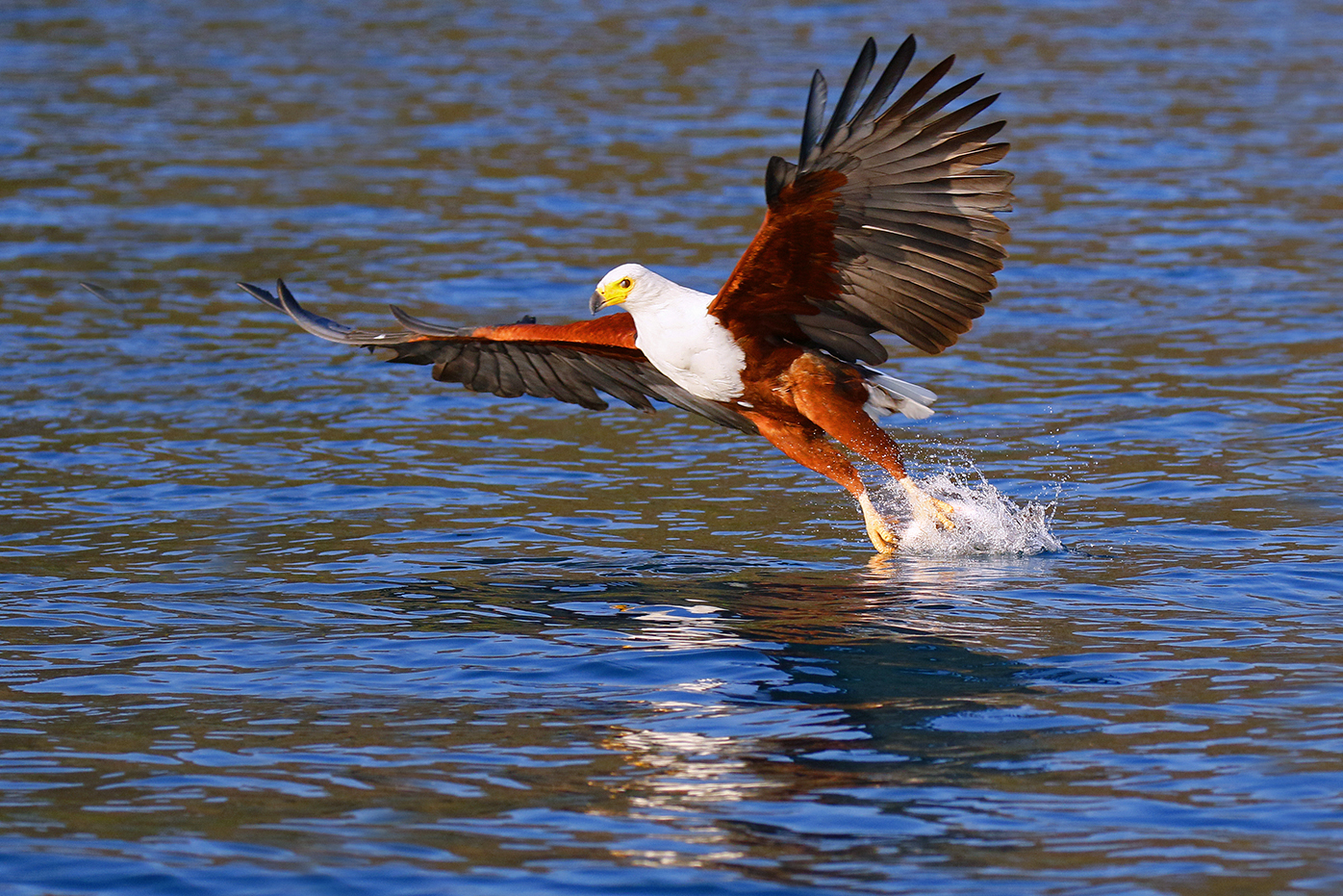 Pesca sul Lago Malawi