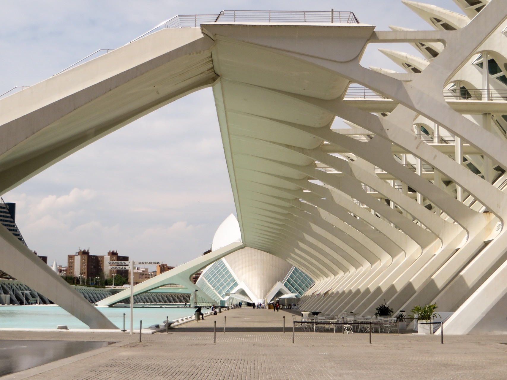 Arts and Sciences ...