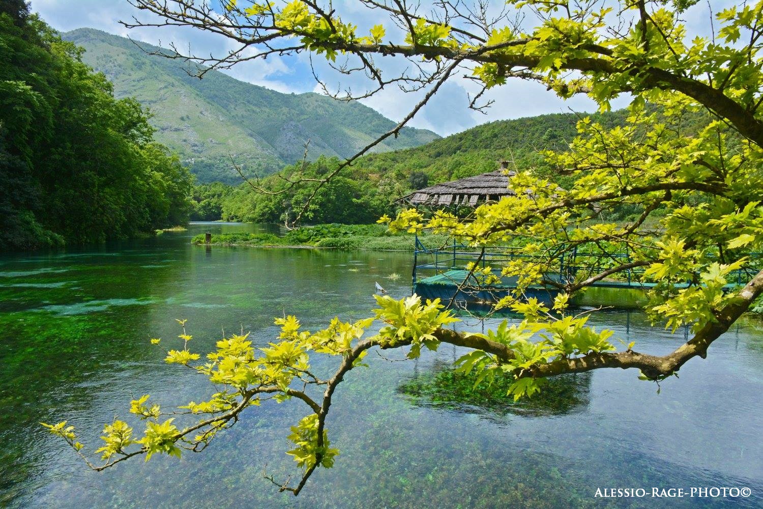 South american center (blue eyes)