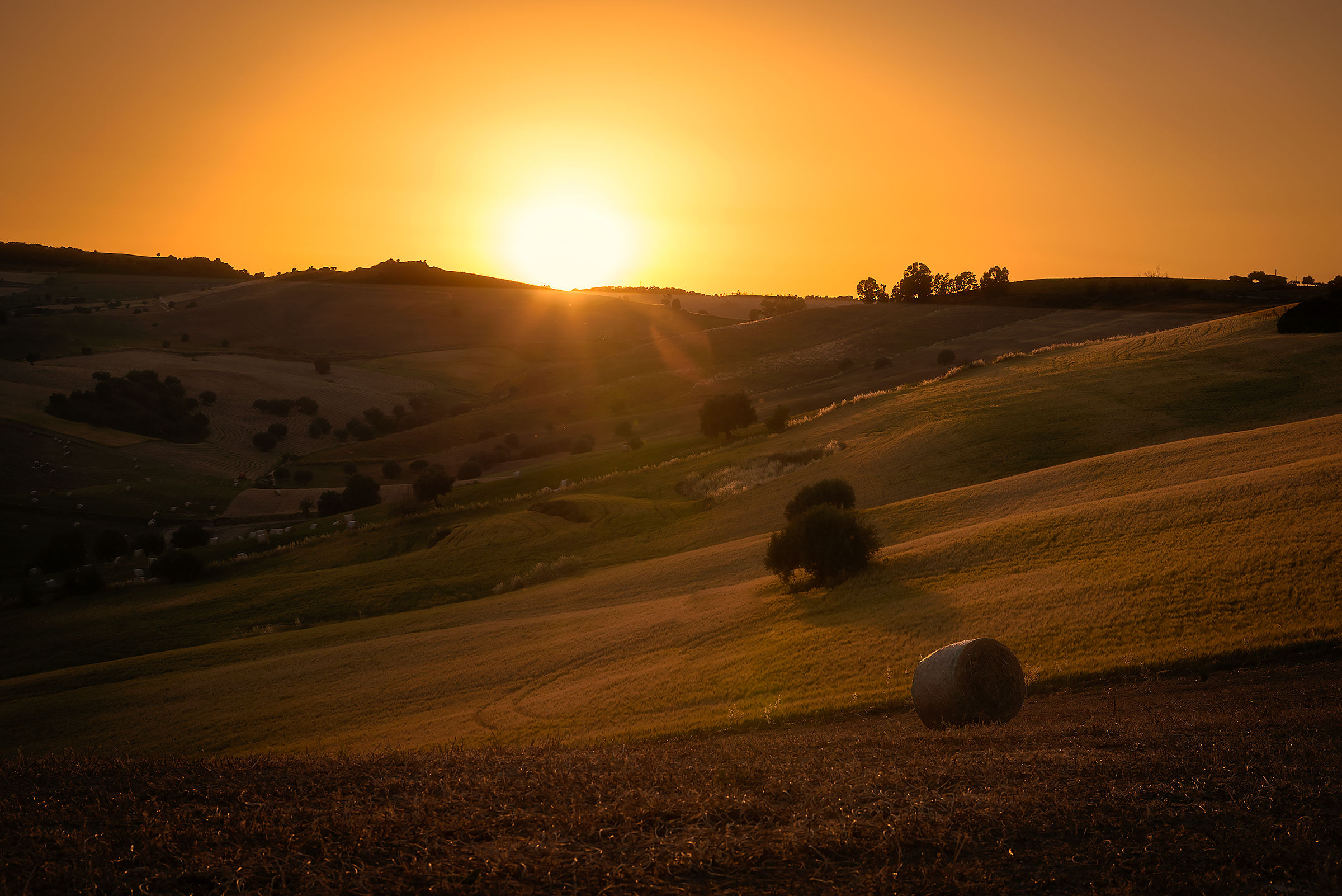 Quando la campagna si veste d'oro