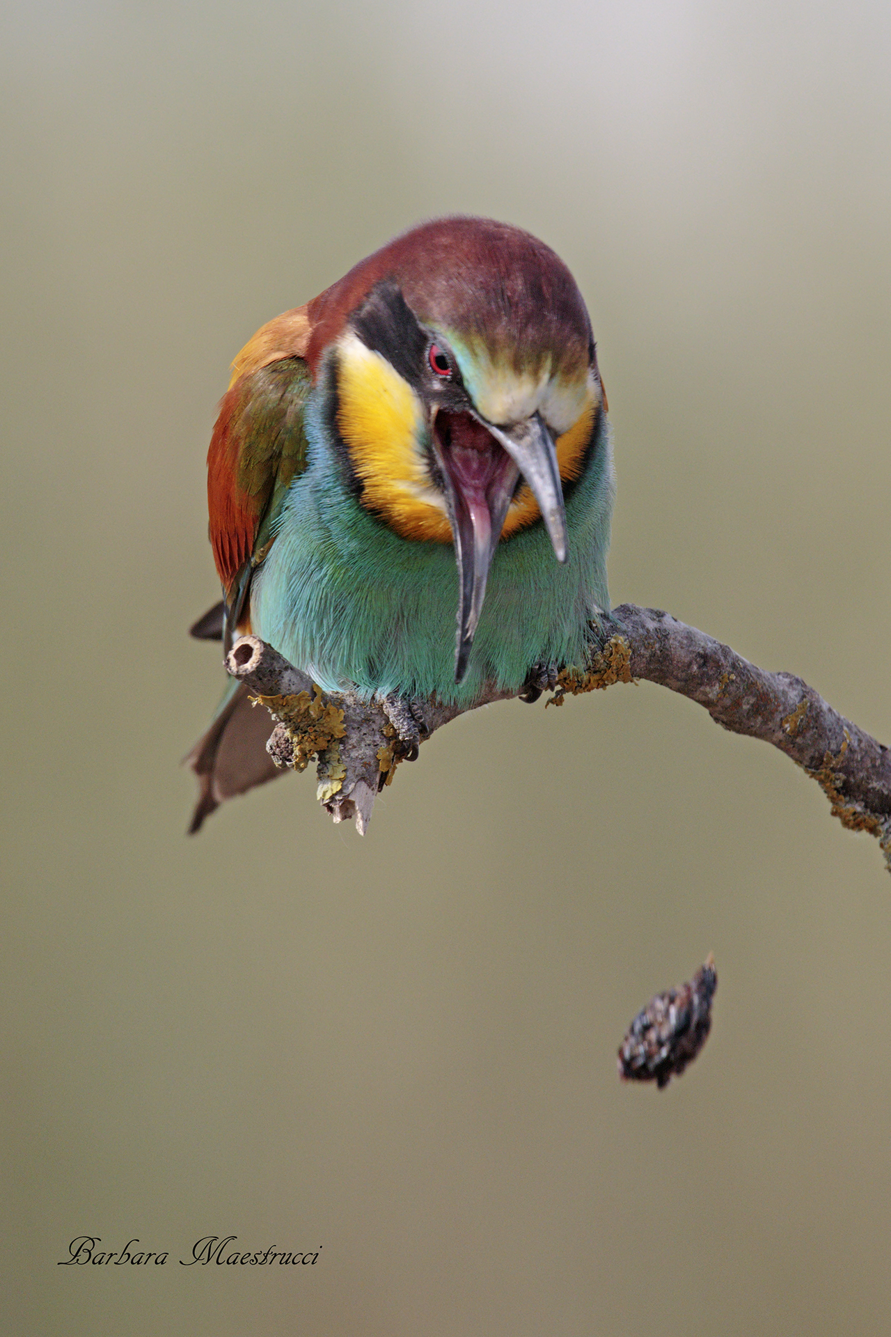 Mi sono levato un peso dallo stomaco.