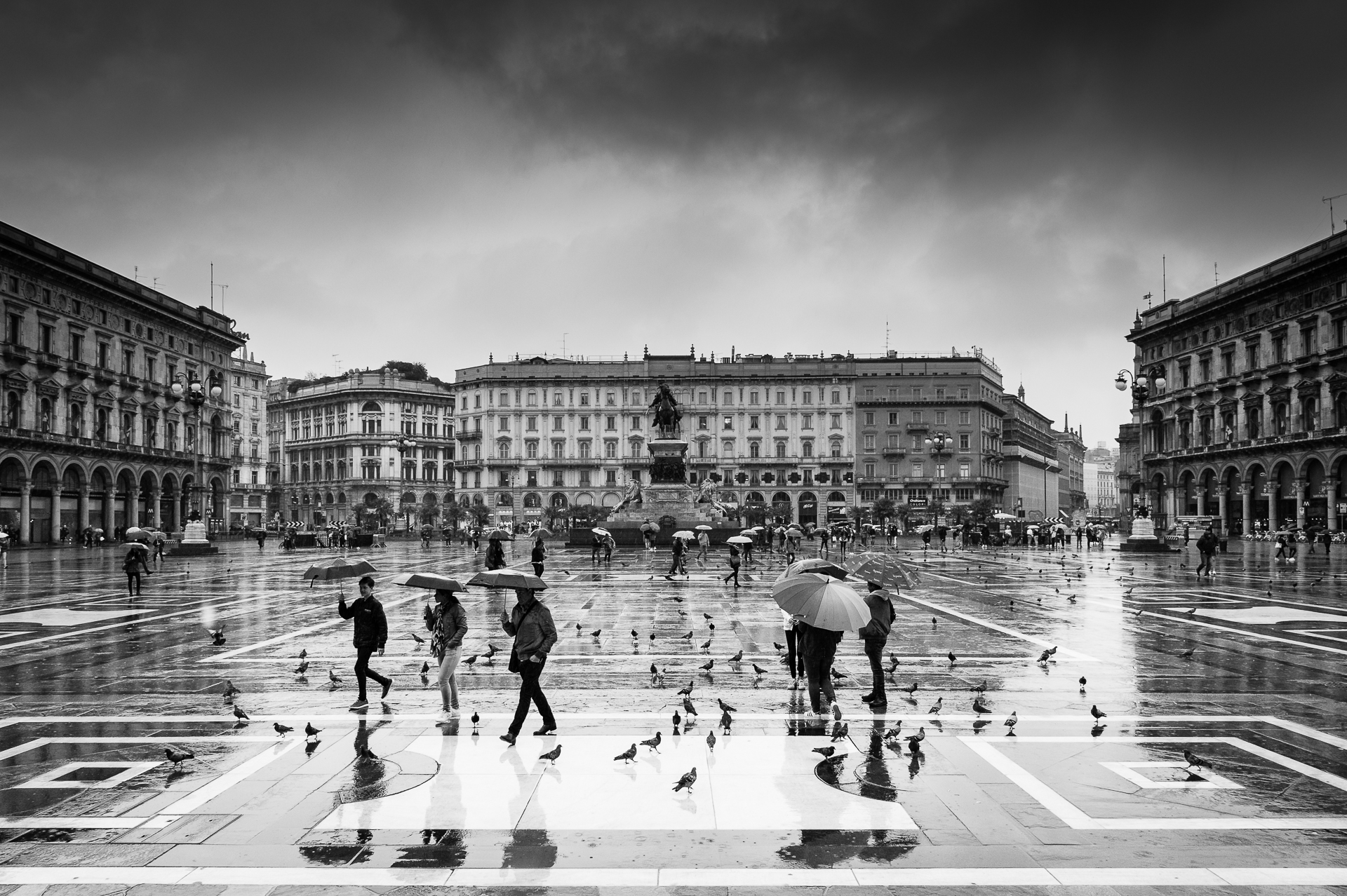 Ombrelli e piccioni a Milano