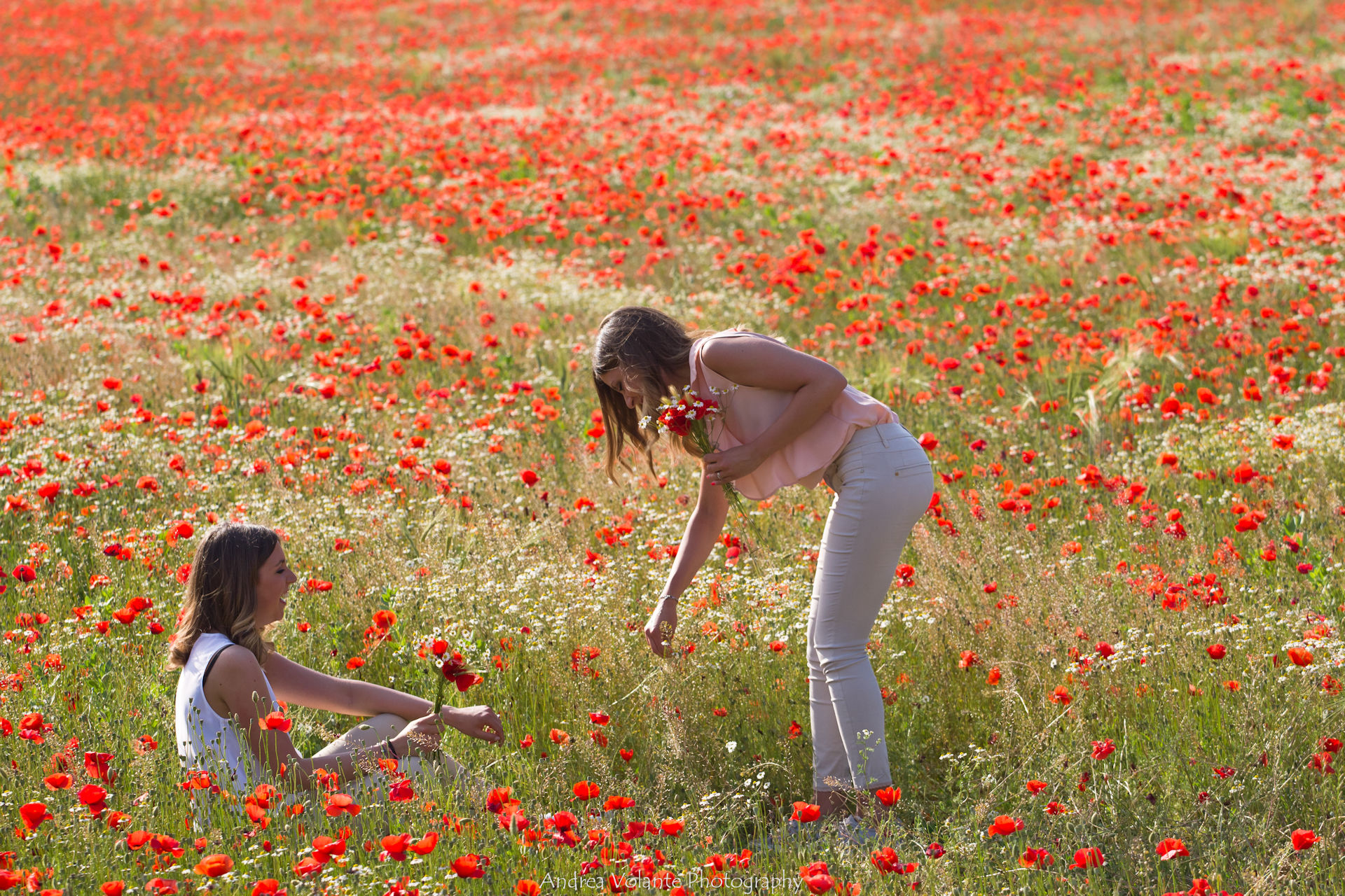 ...l'armonia della primavera.