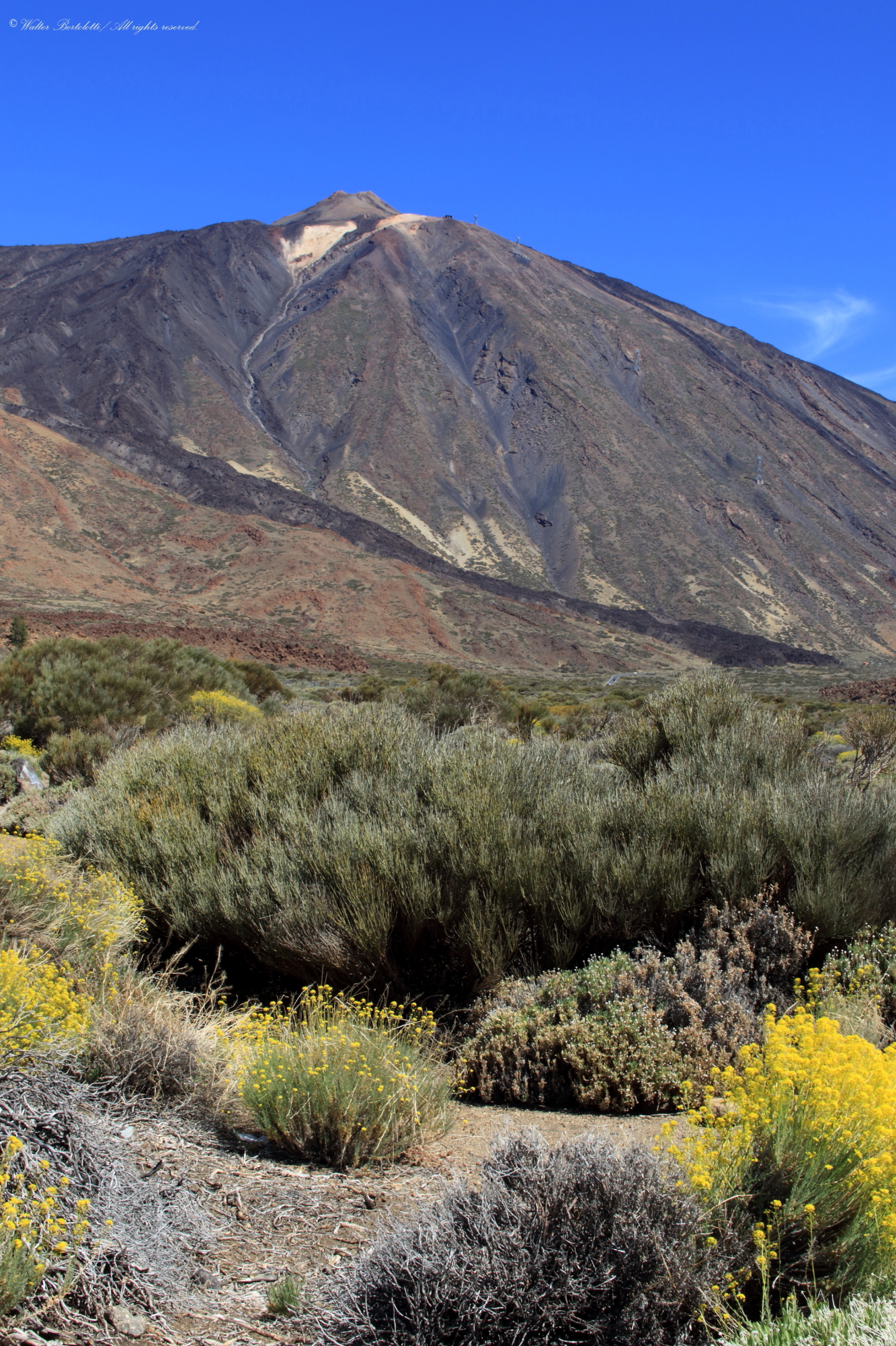The Teide and its colors - 2,500 mt