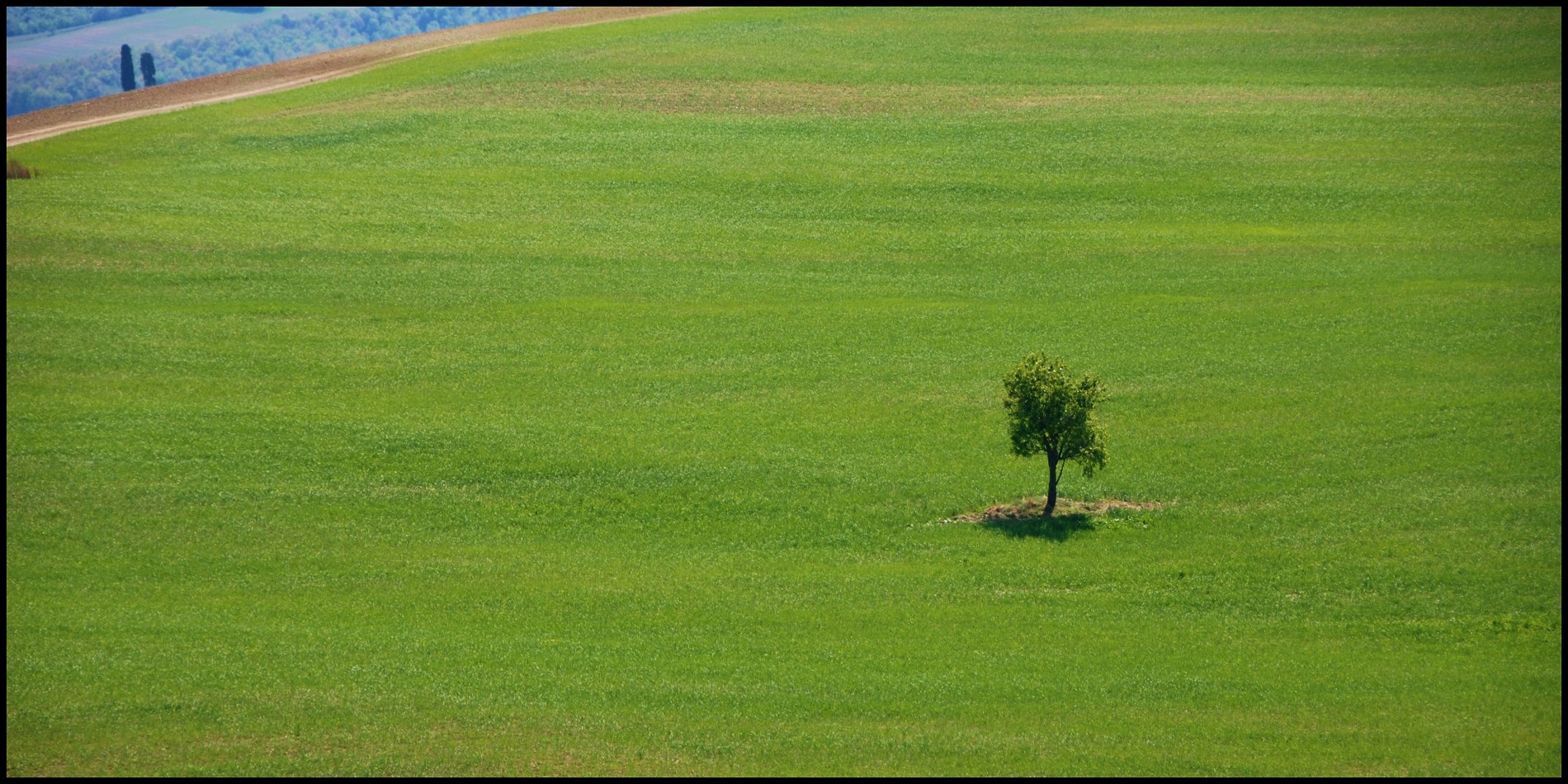 Triste e solitario...