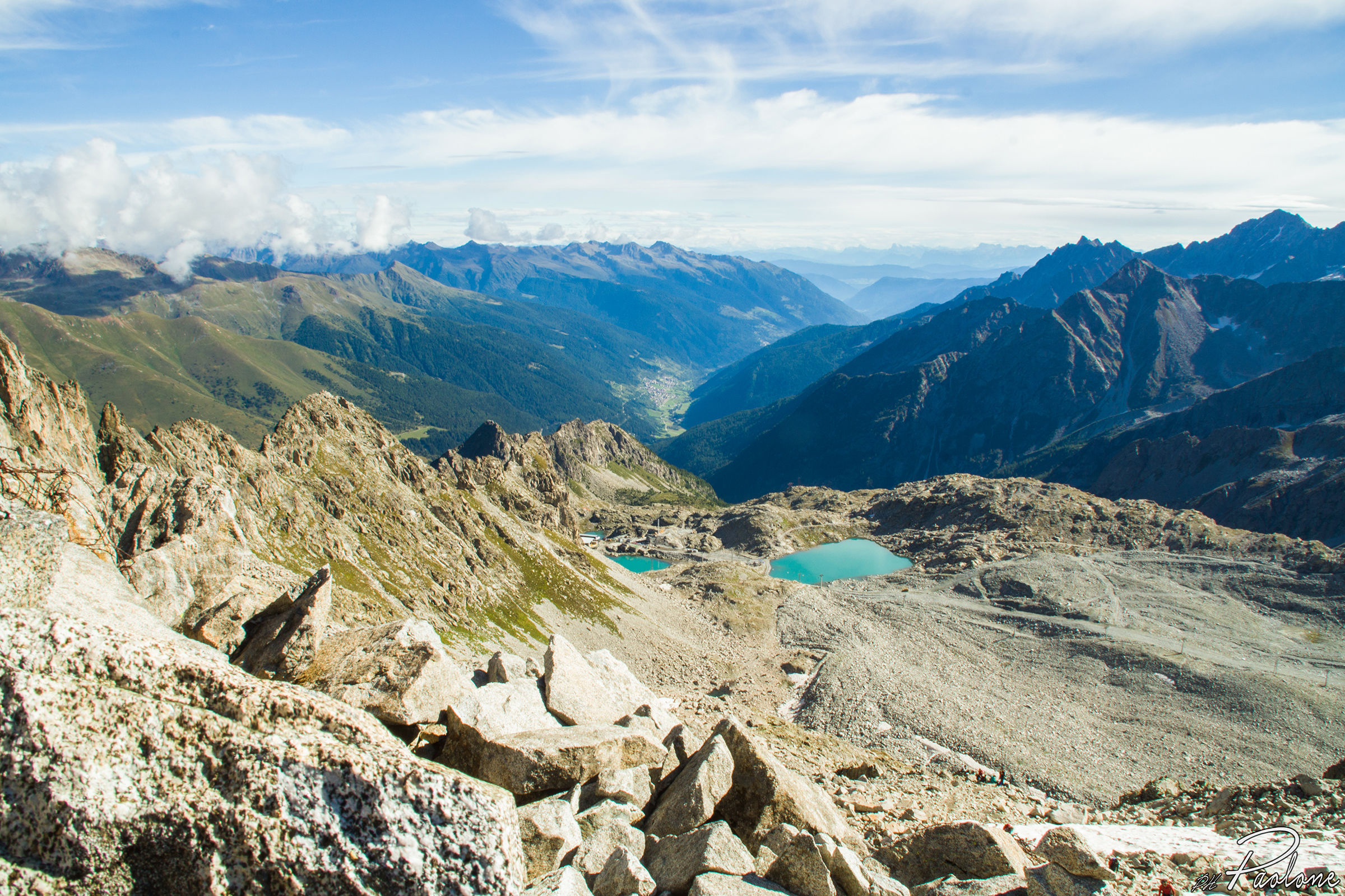 From the Flower Trail