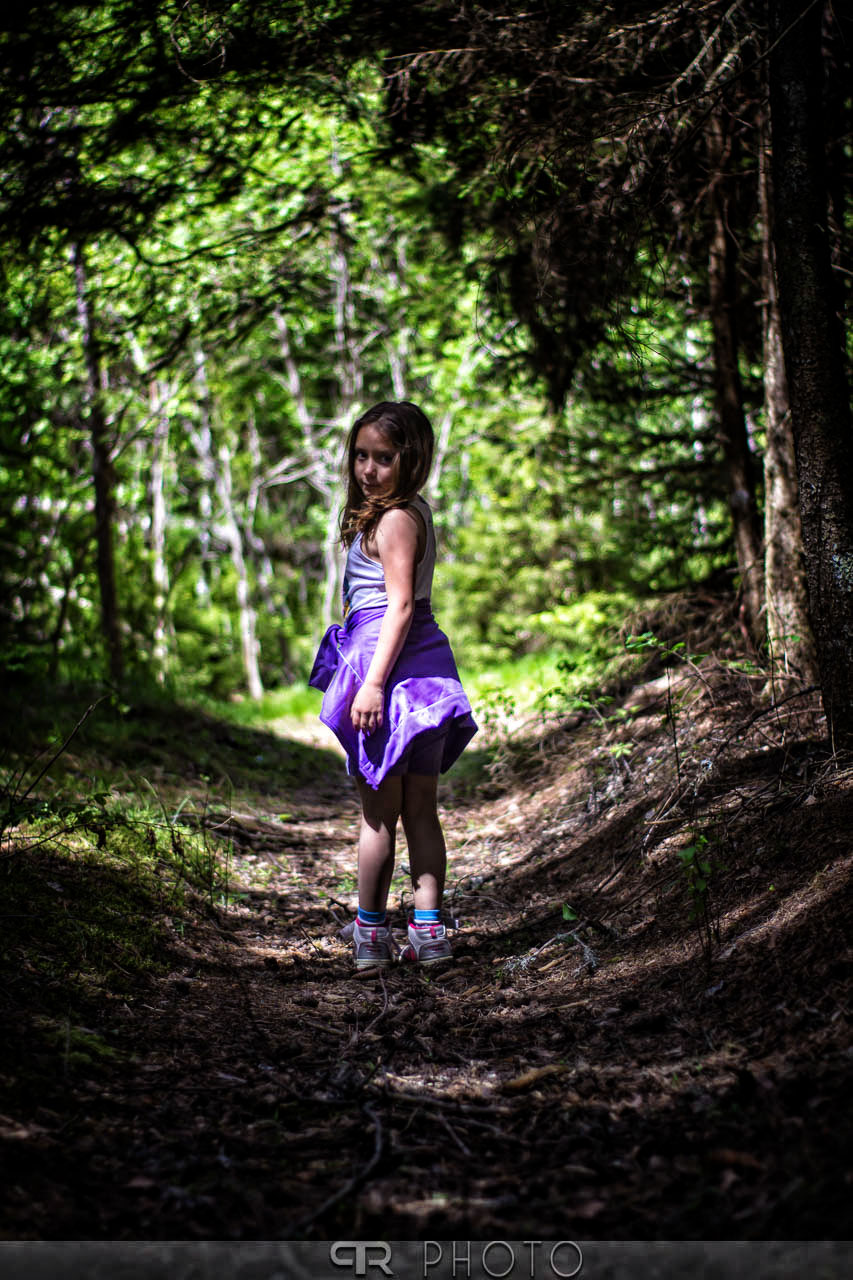 Within the forest as by magic