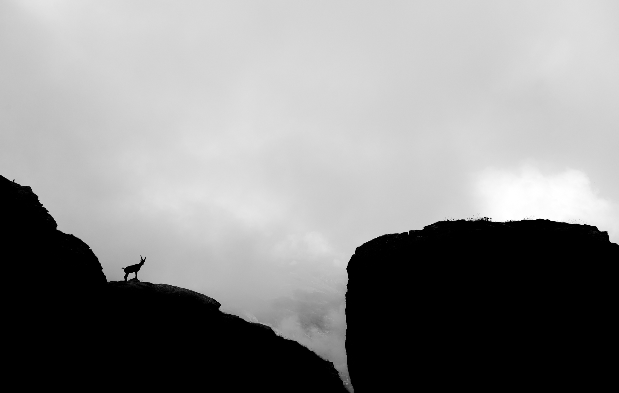 Il re della montagna