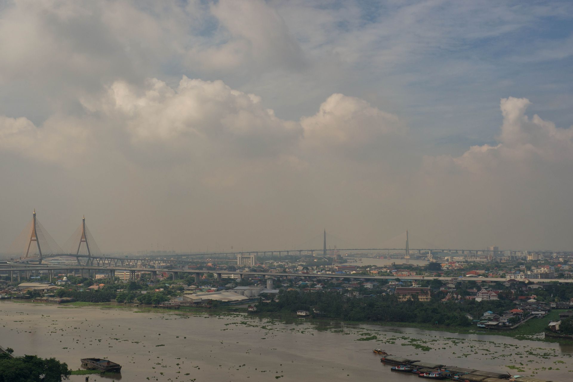 The Water Hyacinth Marches On