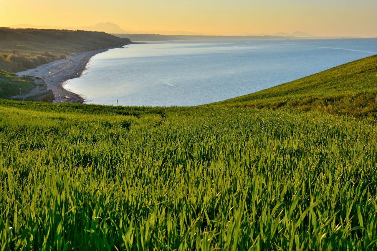 Quel Puntino si Muove !!