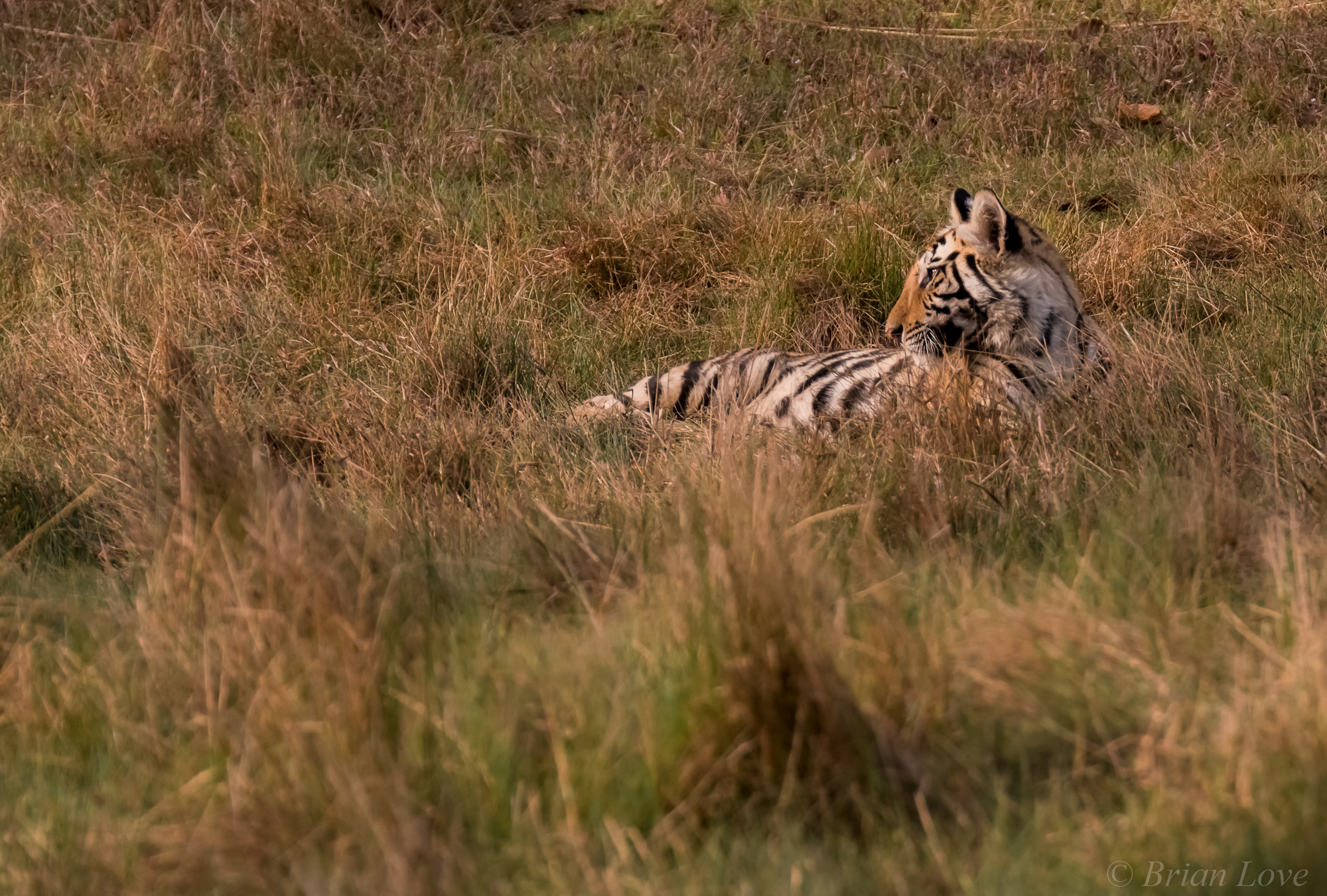 Osservare l'ascesa del sole