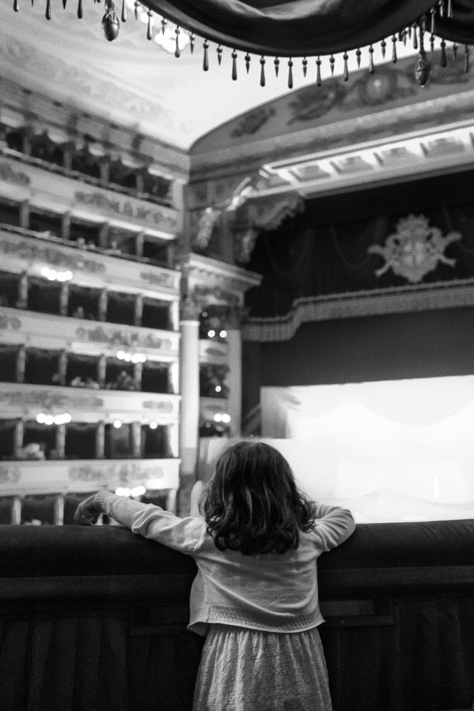 Light beyond the hedge