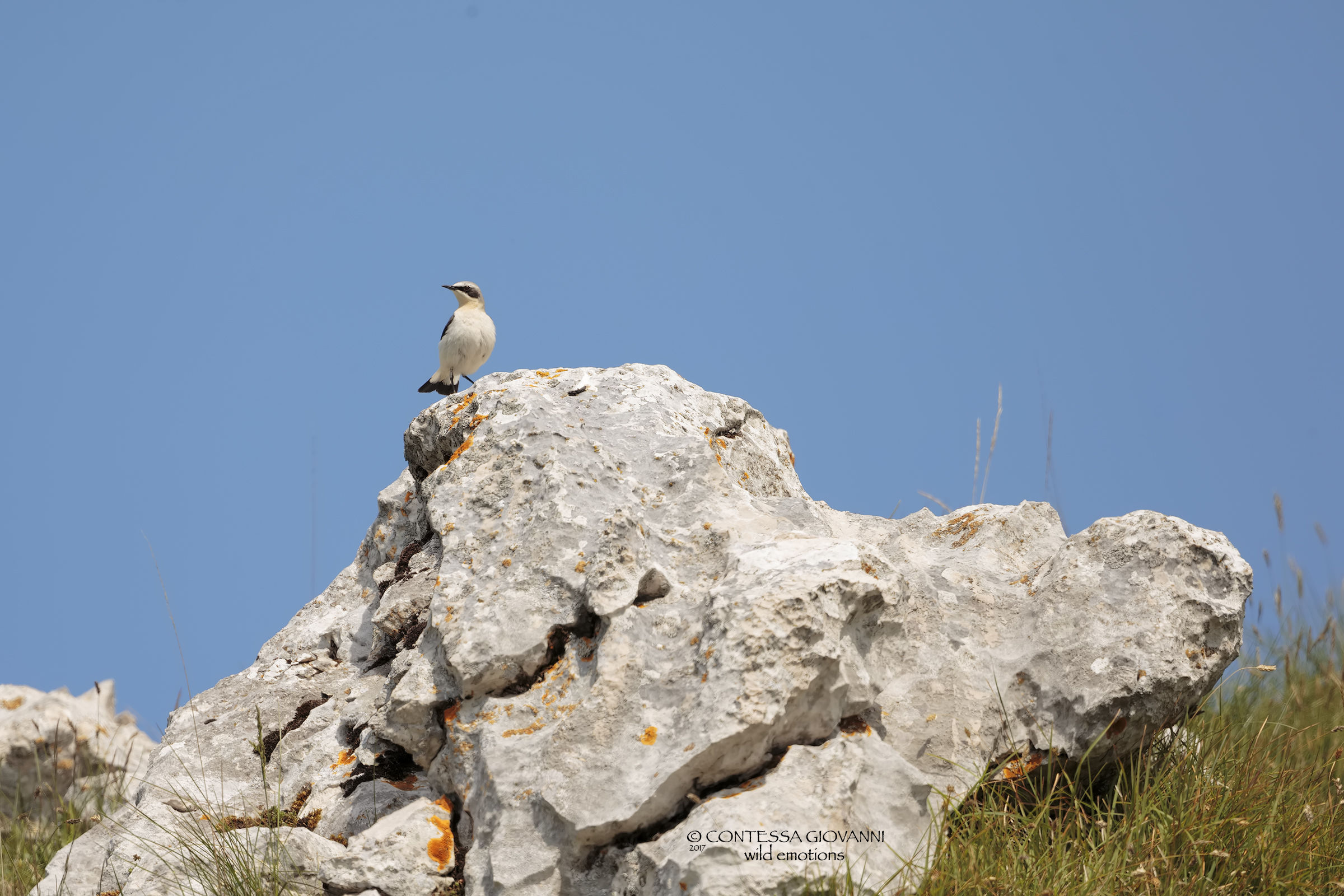 culbianco ambientato