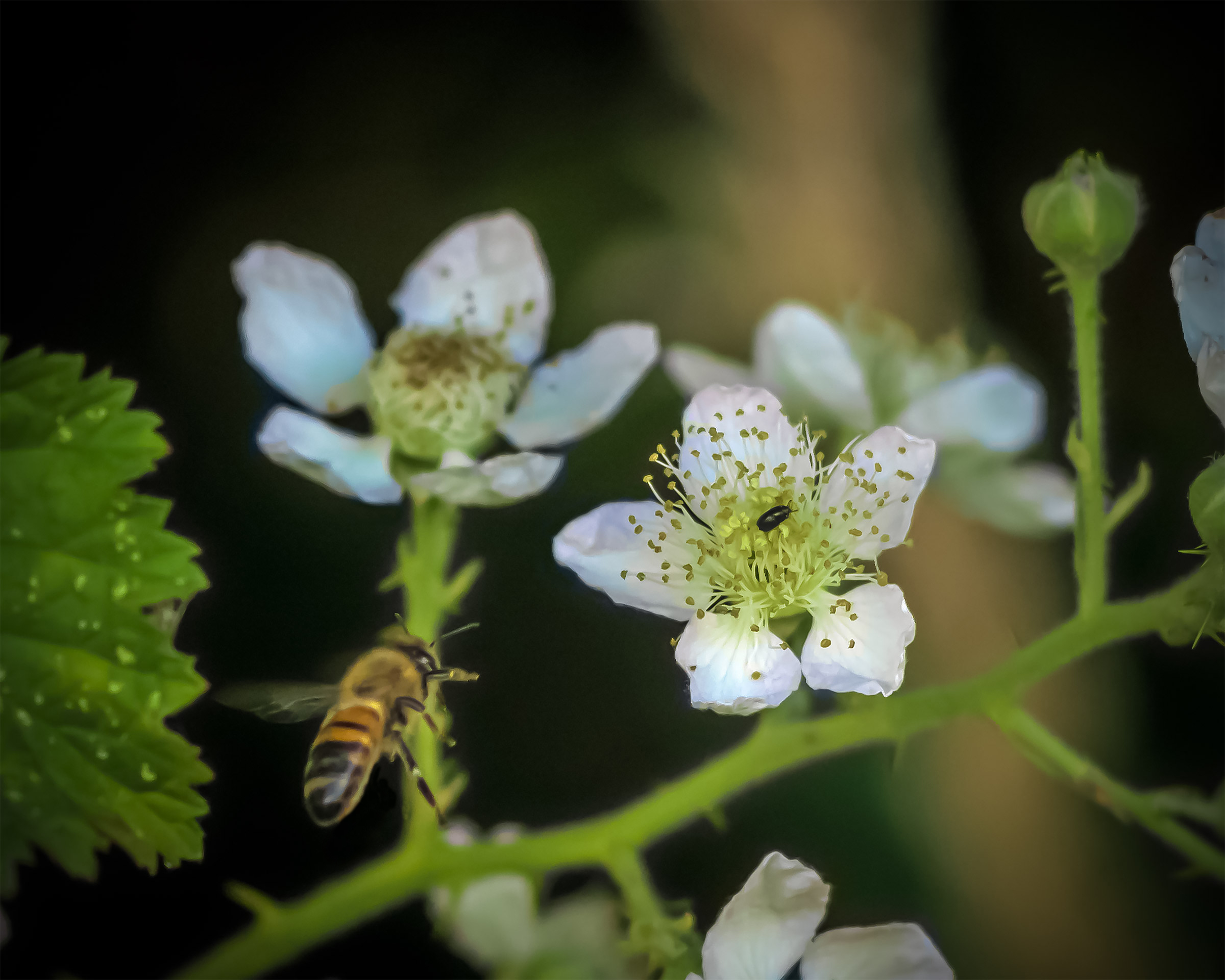 Get off that I'm coming!