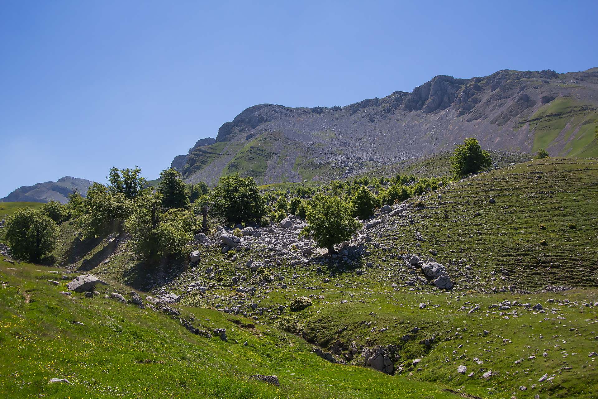 Monte Forcellone 2030mt da Picinisco