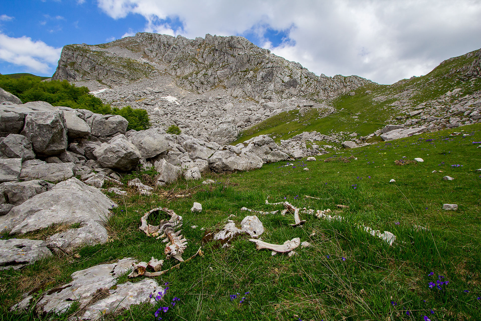 I resti di una cena abbondante