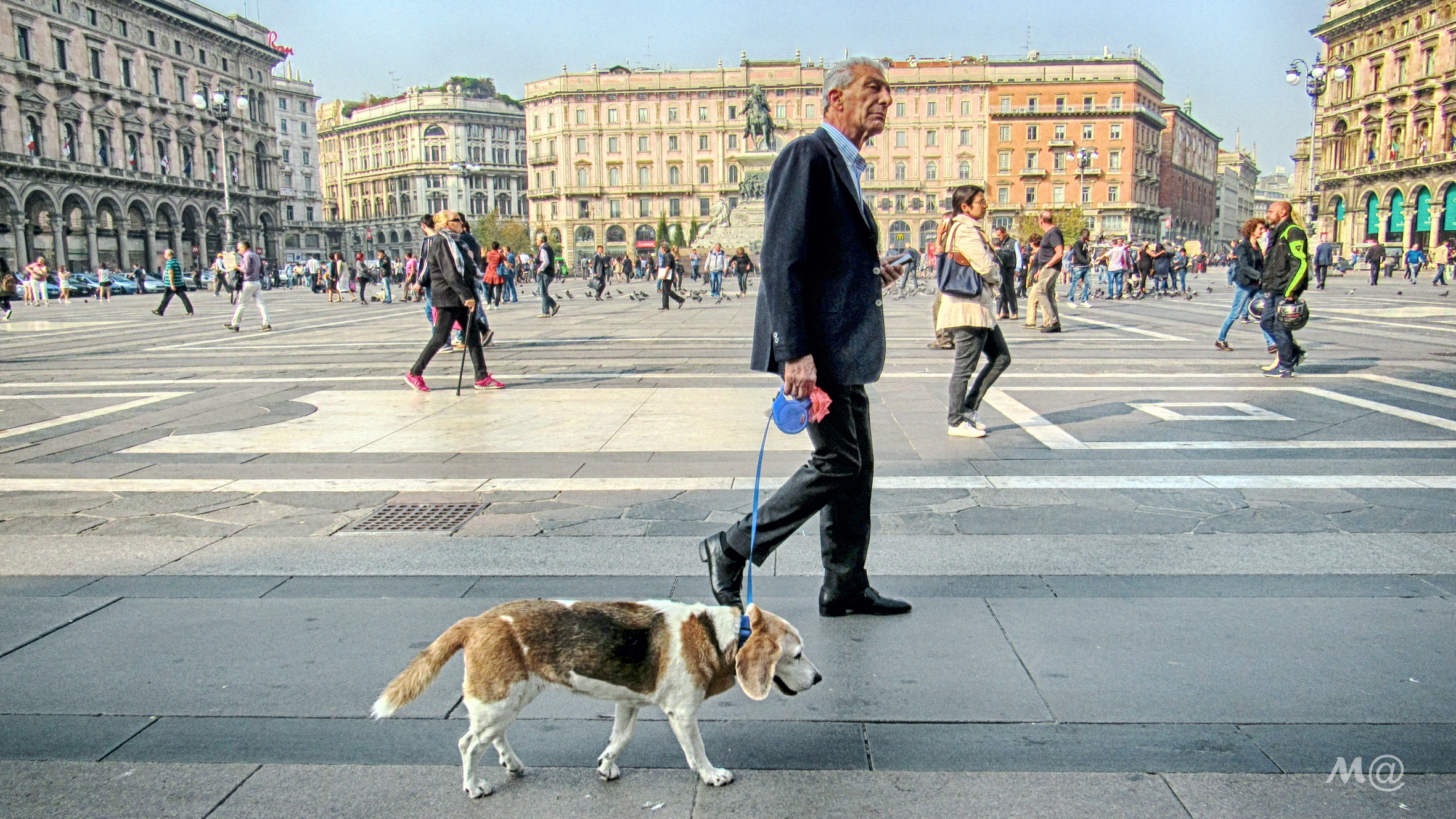 The vague similarities