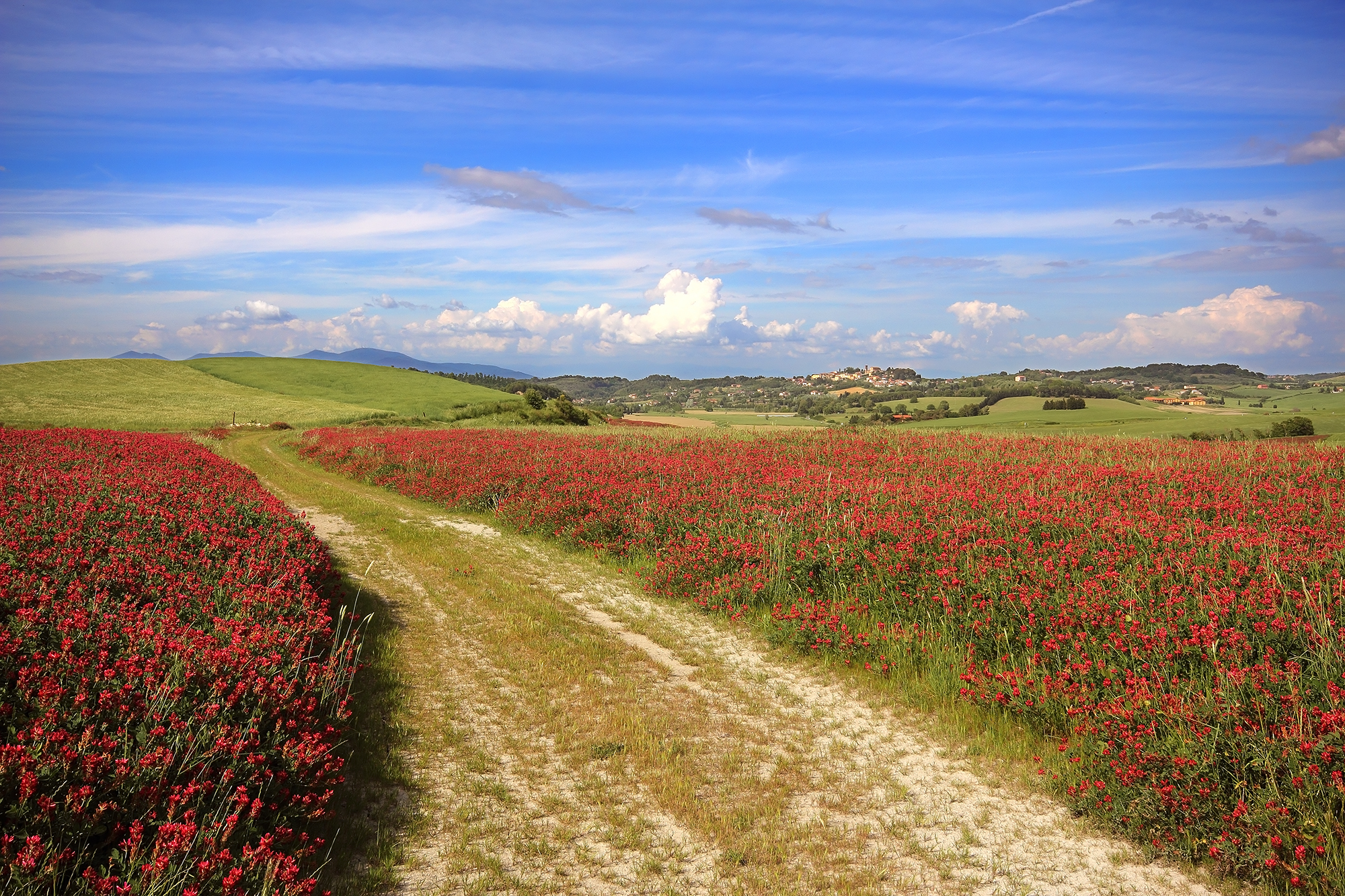 Il sentire della sulla
