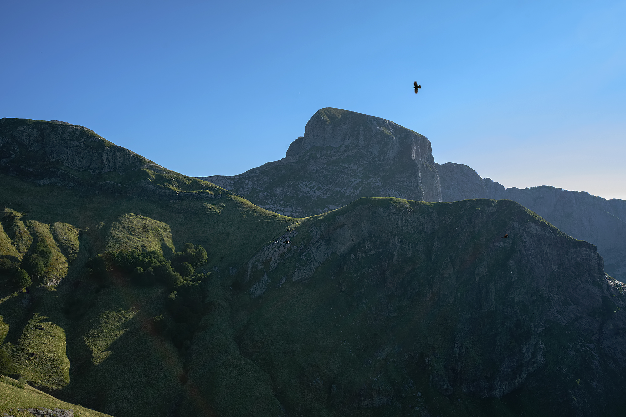 Coral gravels on the glacial circle of Sumbra.