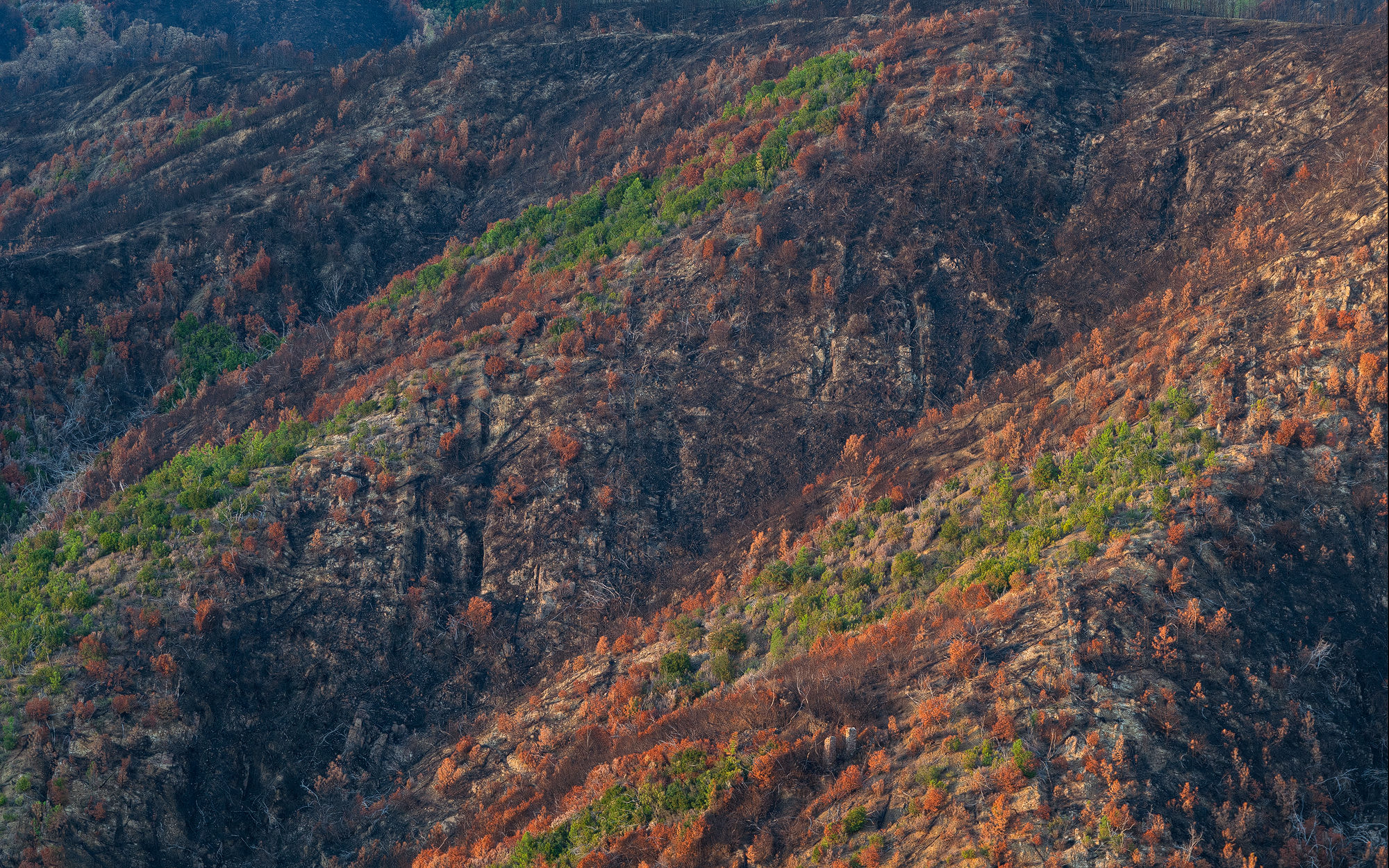 La natura e il fuoco #1