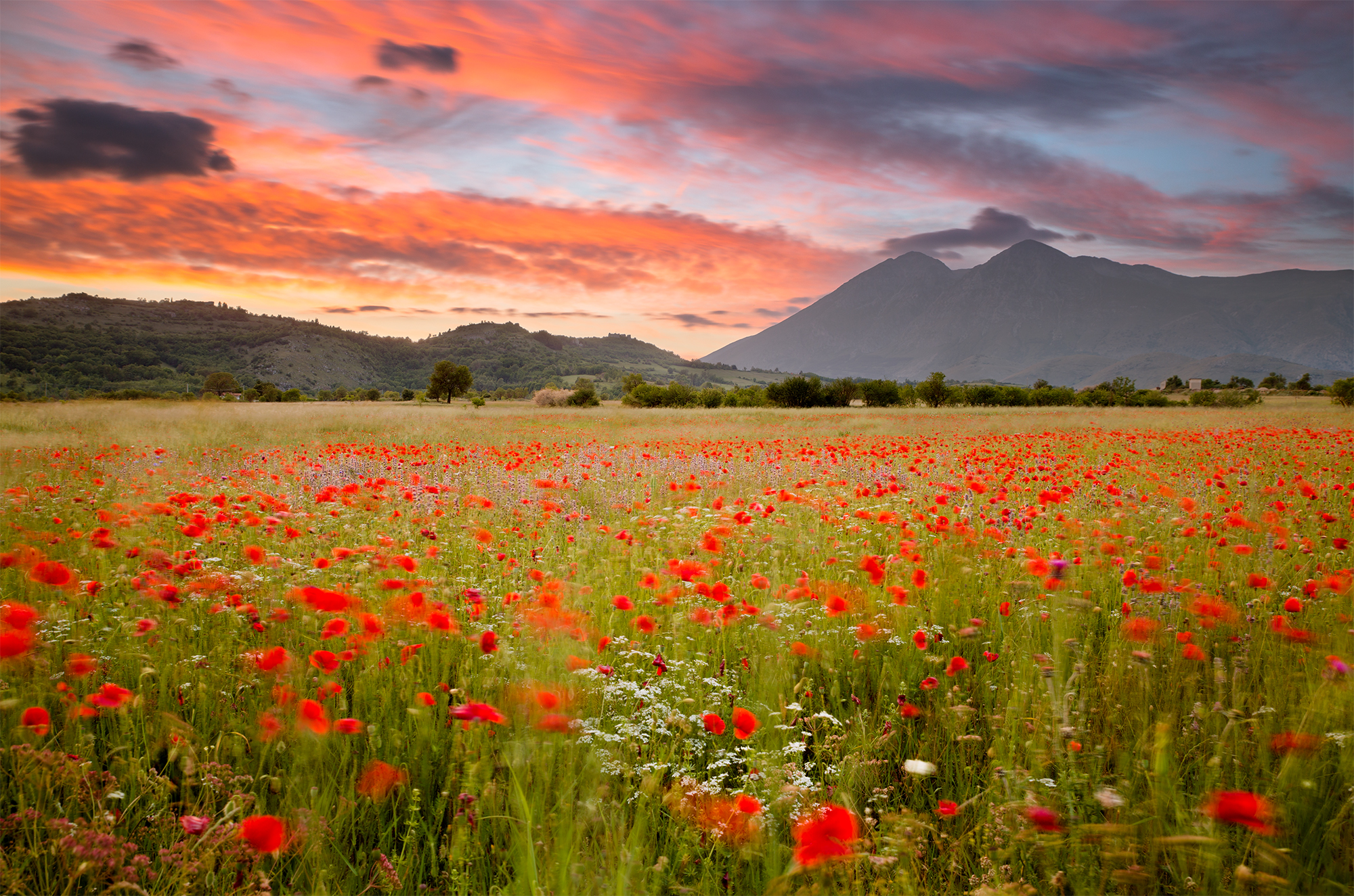 Postcard from Abruzzo