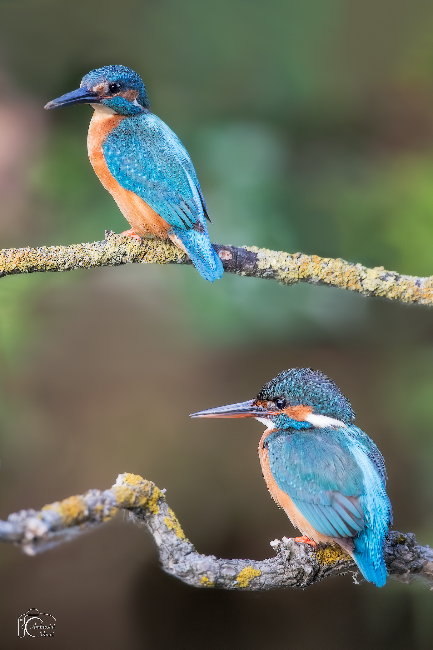 Siamo su piani differenti